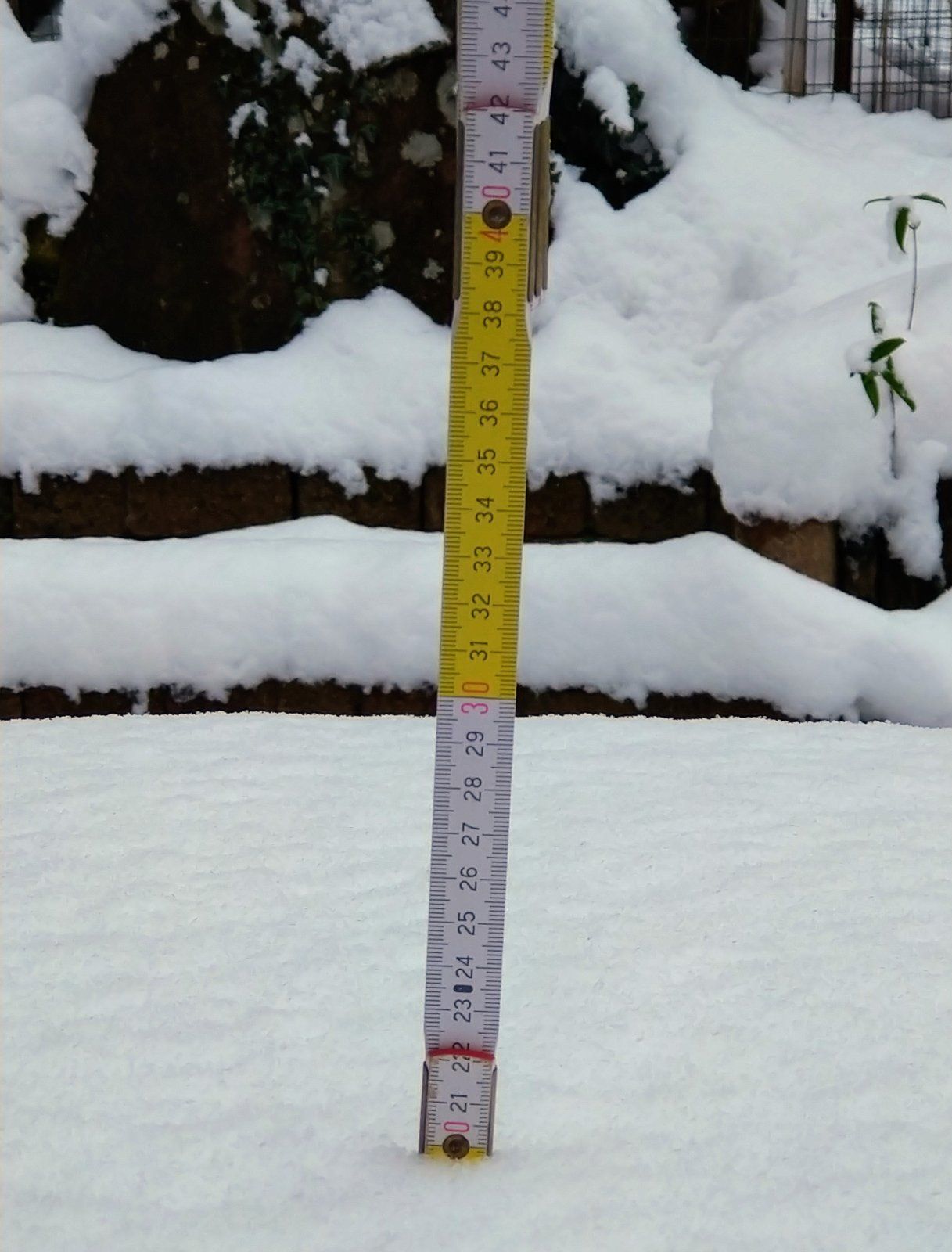 DSC_3846.JPG