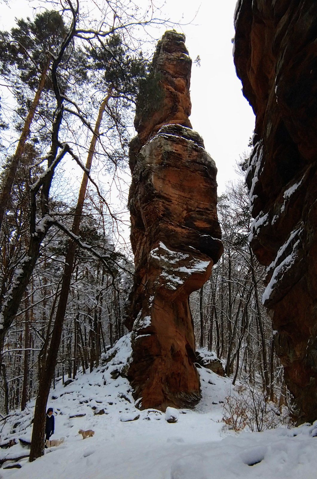 DSC_3849~2.JPG