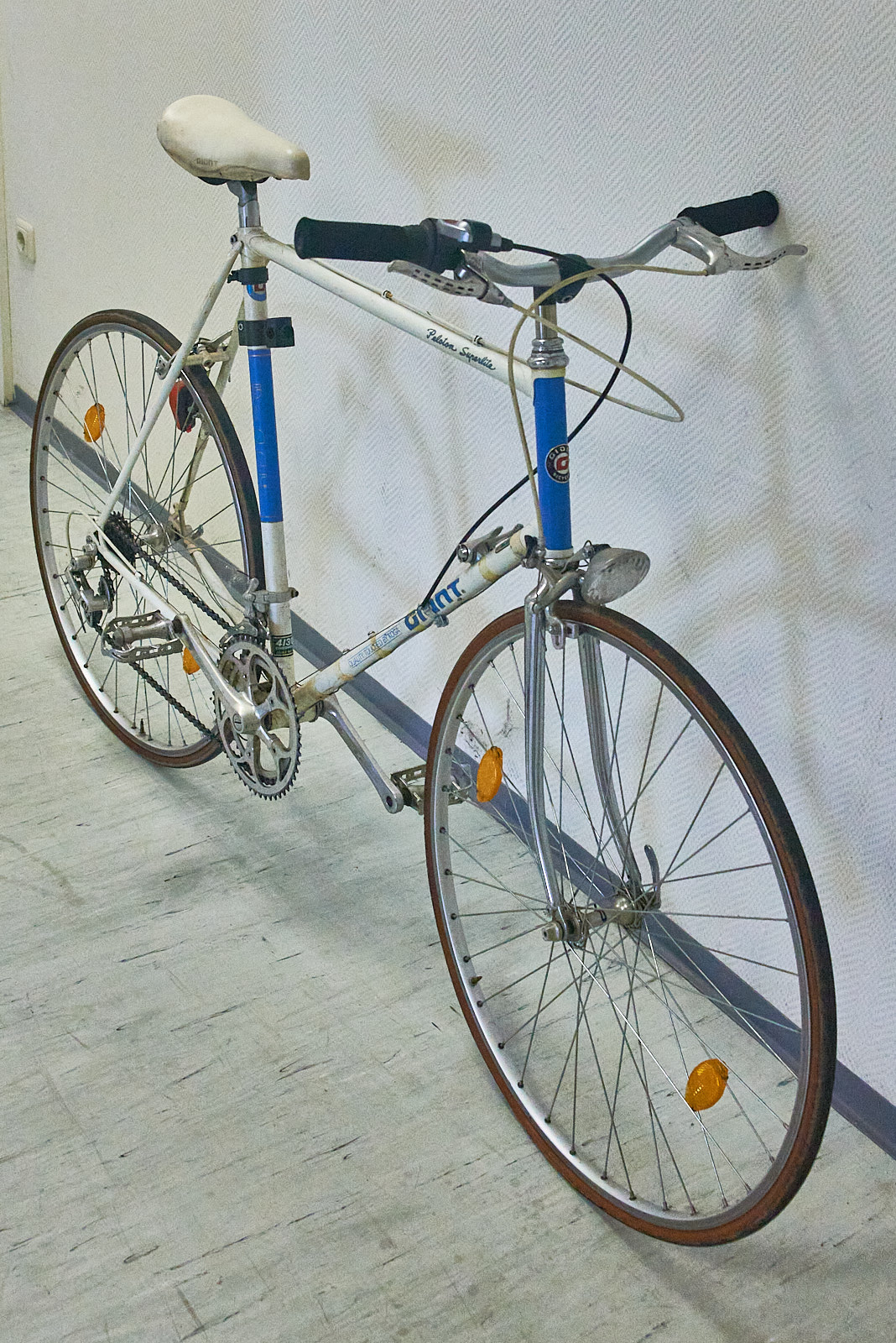 DSC_4910.jpg