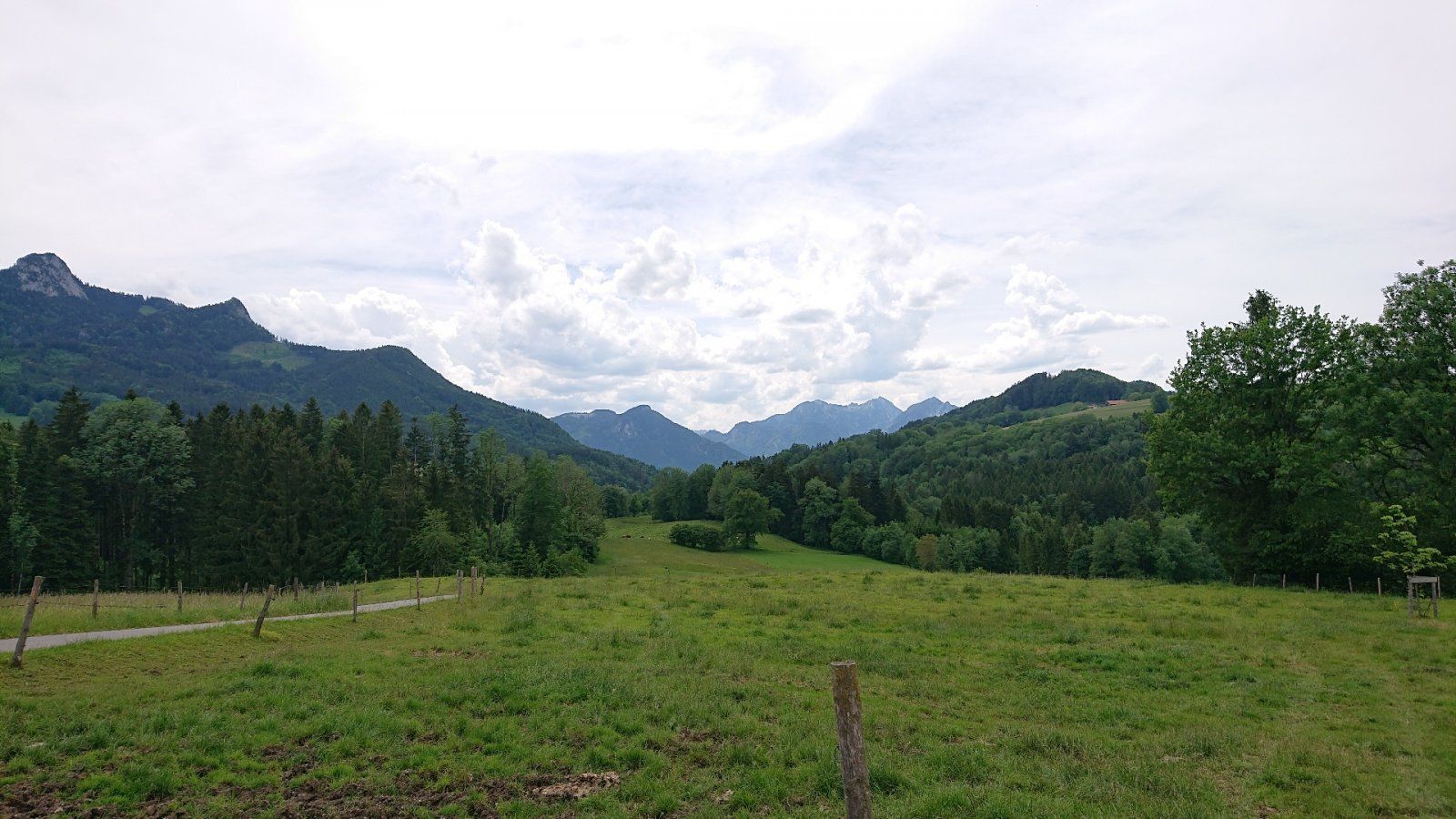 DSC_4920.JPG