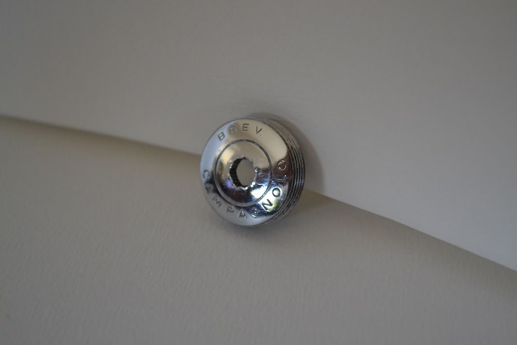 DSC_5556.JPG