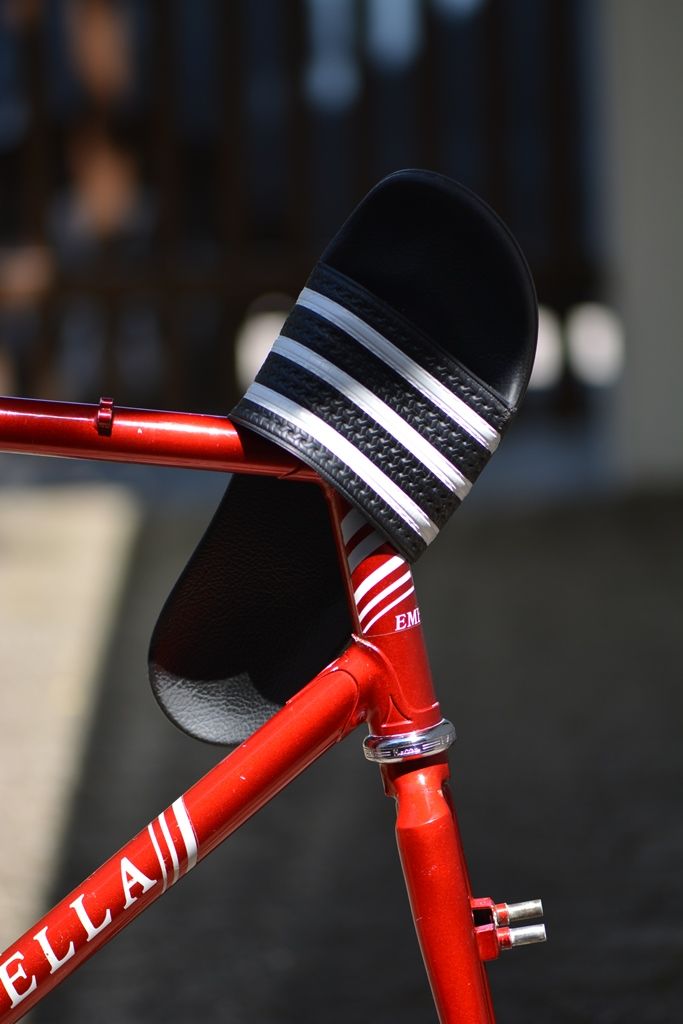 DSC_5787.JPG DSC_5787.JPG