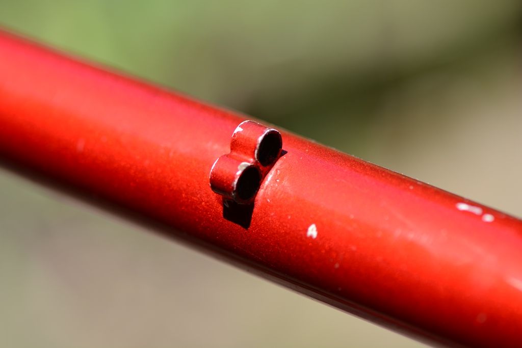 DSC_5794.JPG DSC_5794.JPG