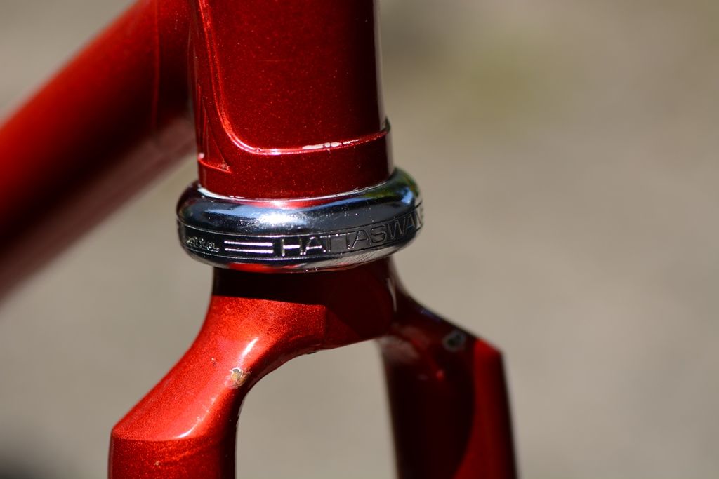 DSC_5799.JPG DSC_5799.JPG