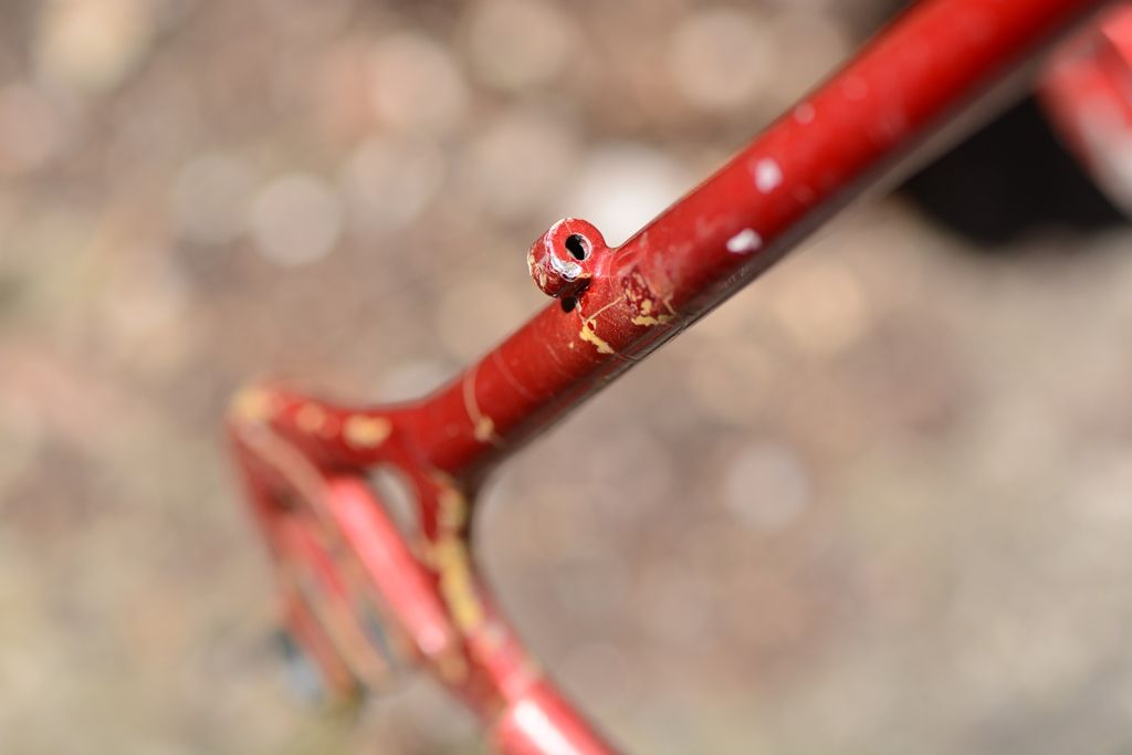 DSC_5802.JPG DSC_5802.JPG