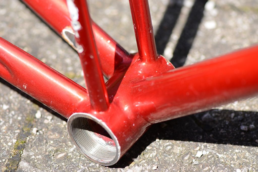 DSC_5805.JPG DSC_5805.JPG