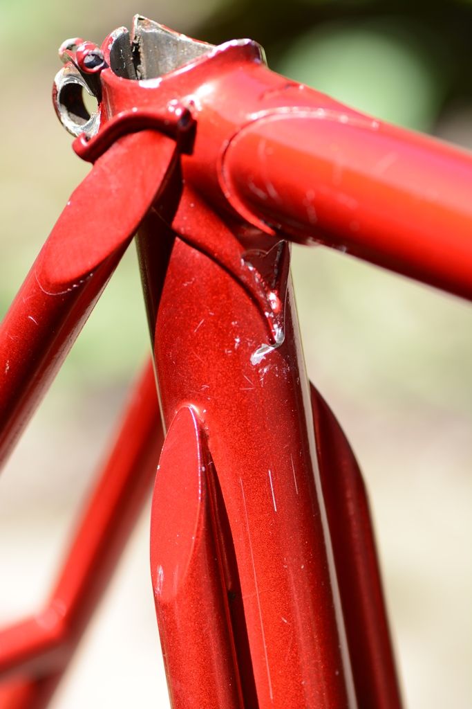 DSC_5807.JPG DSC_5807.JPG