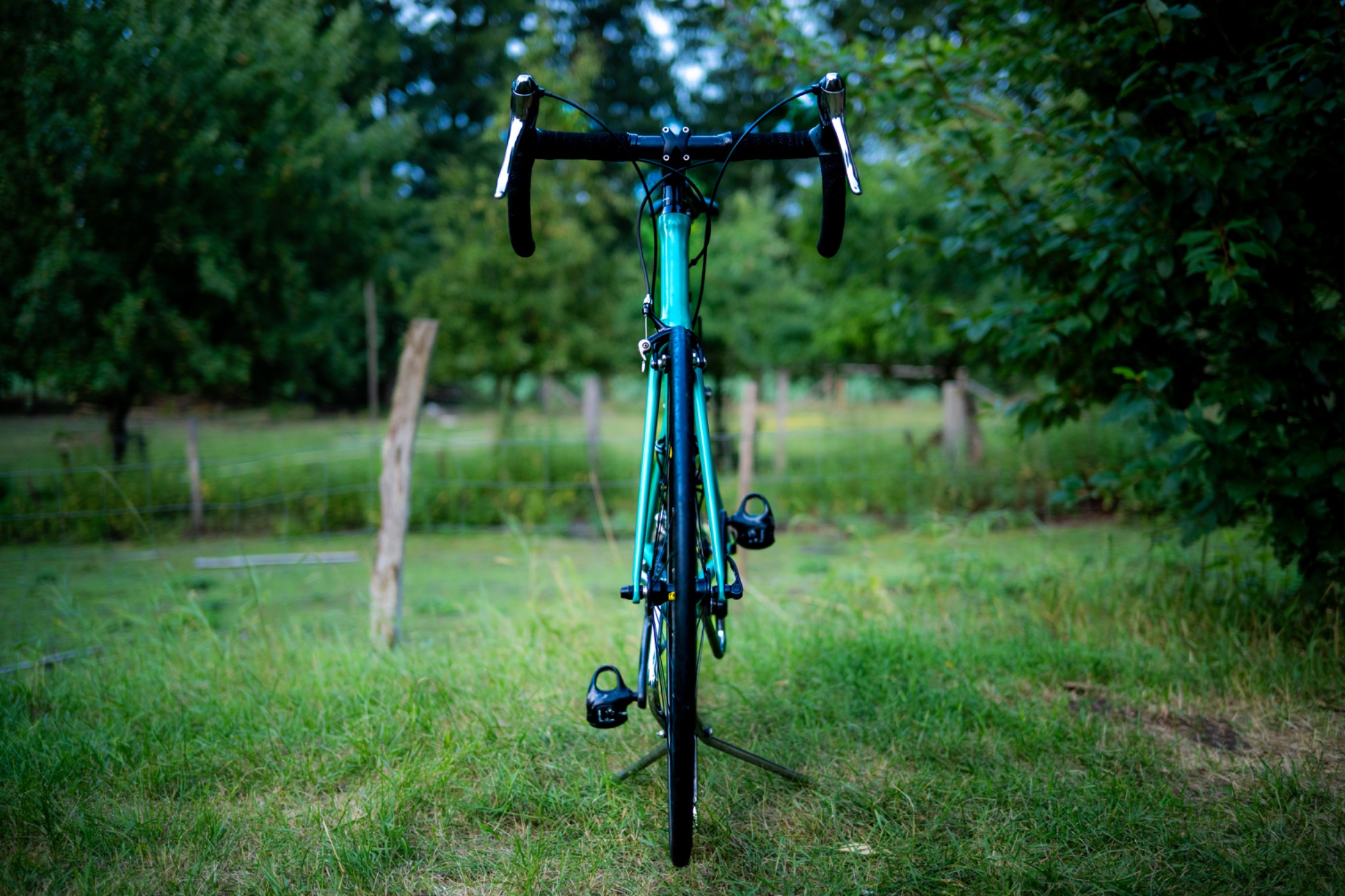 DSC_6026.jpeg