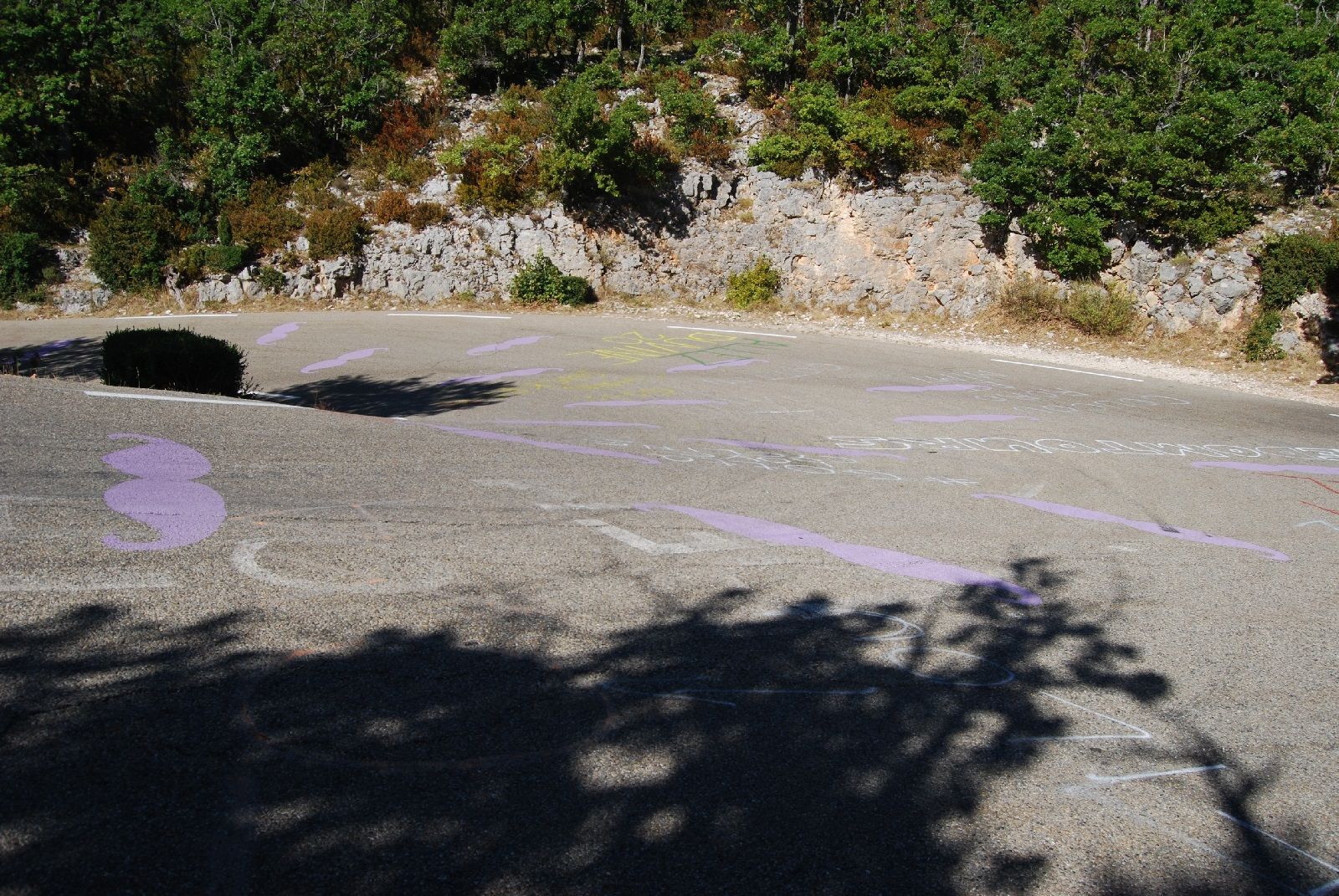 DSC_6338.JPG