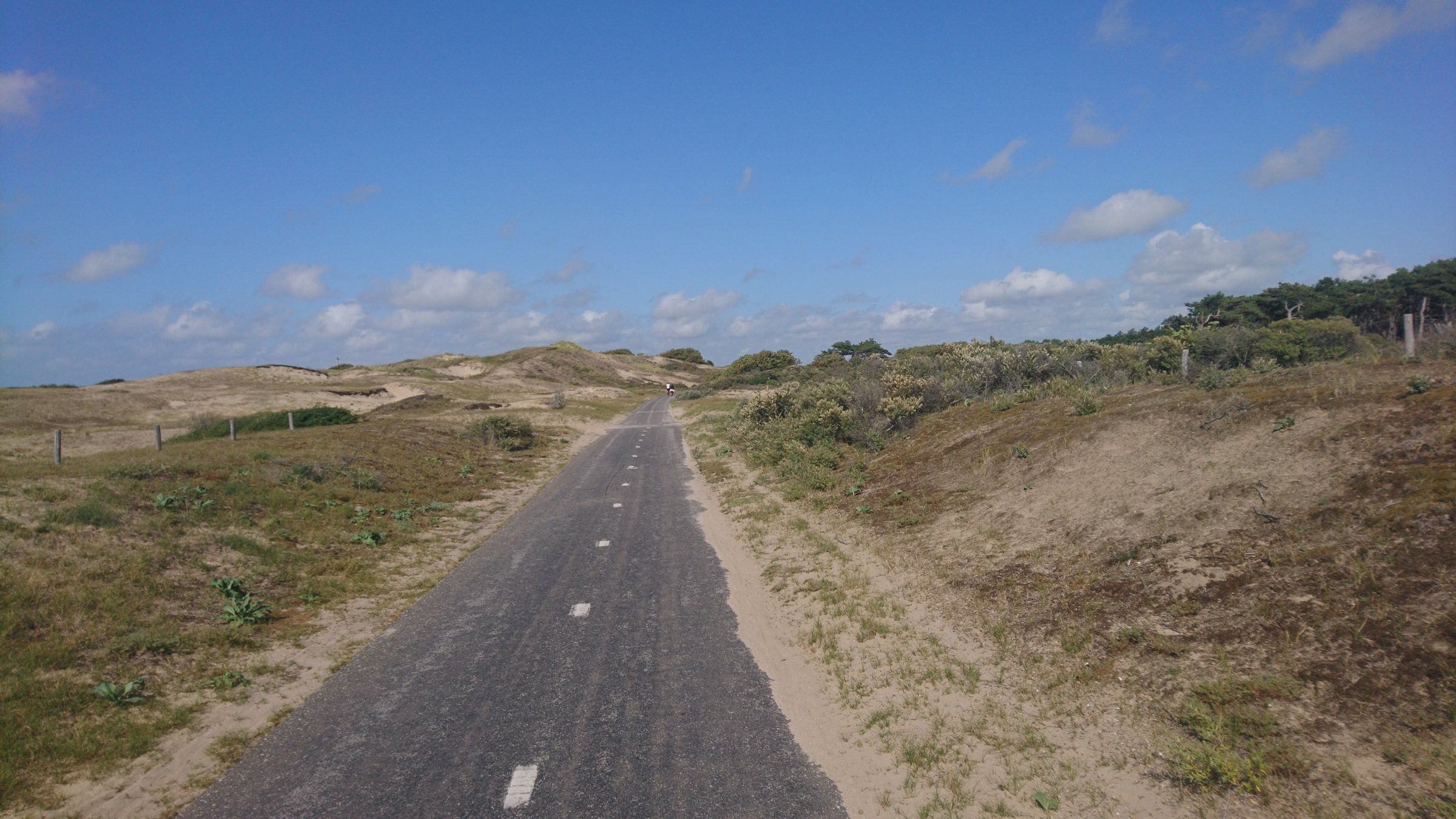 DSC_6461.JPG