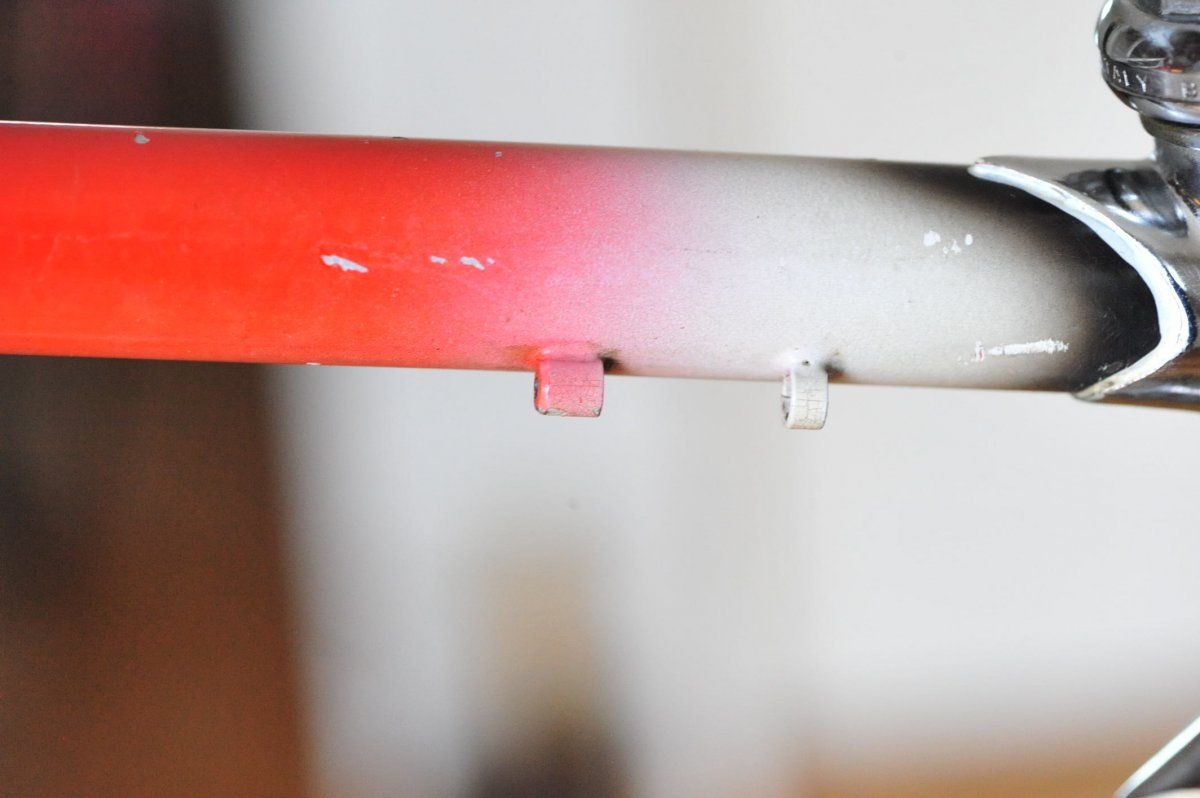 DSC_6583.JPG