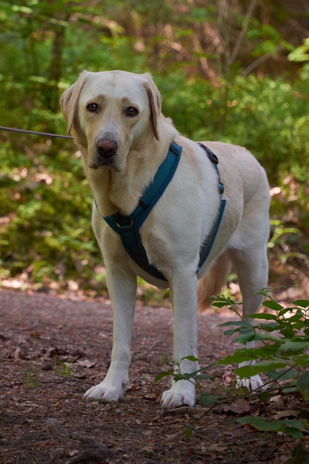 DSC_6721a Kopie.jpg