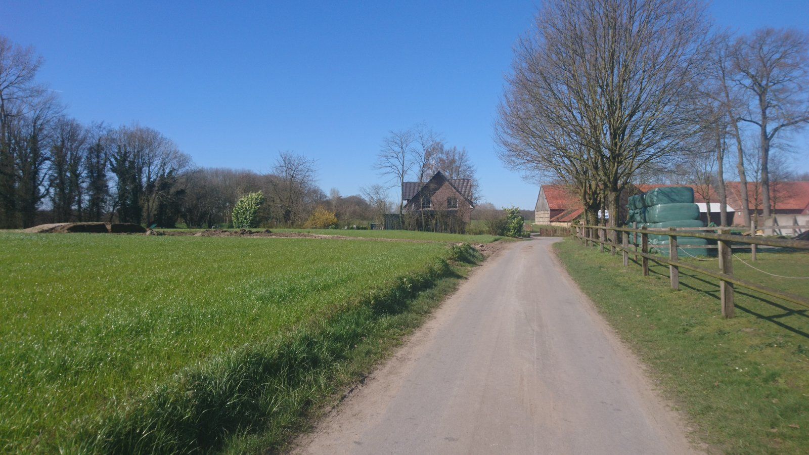 DSC_7626.JPG