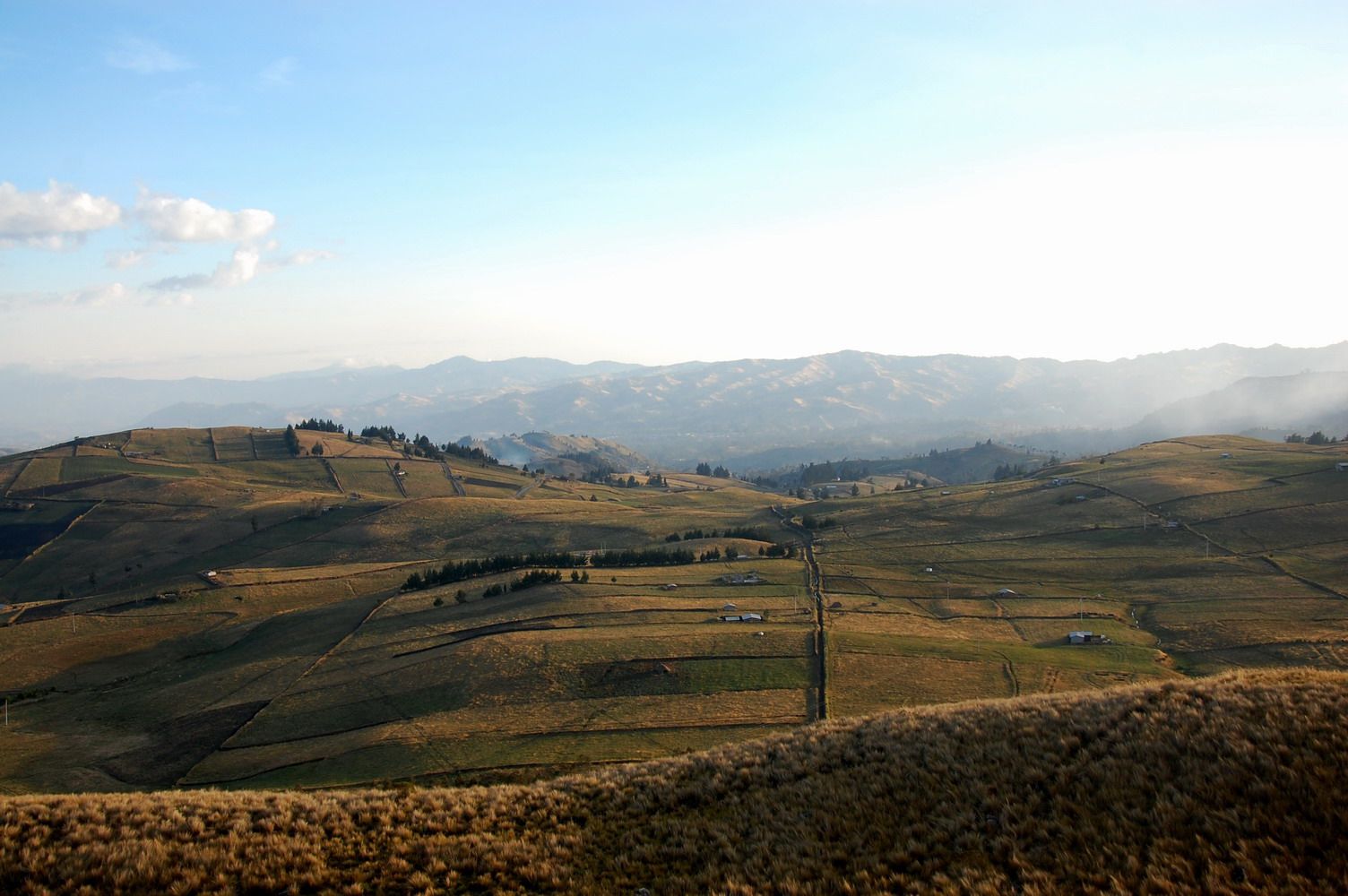 DSC_7630a.jpg