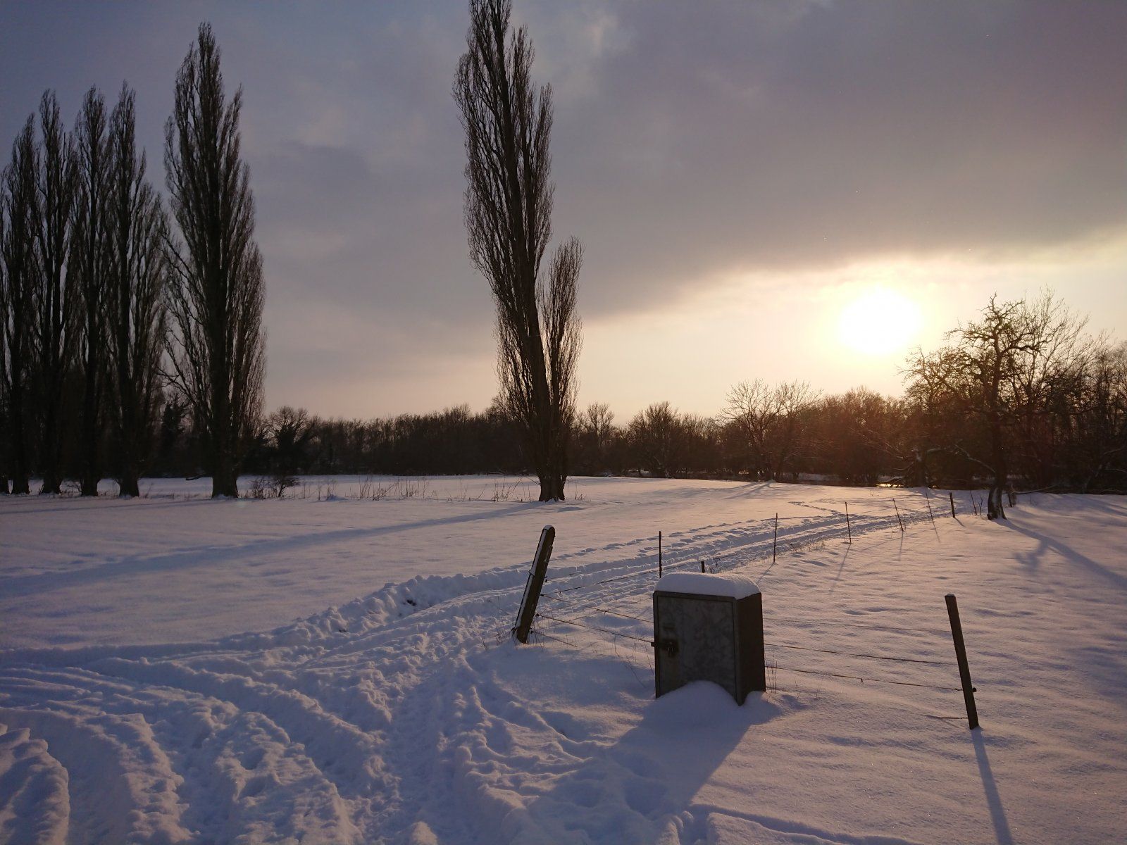 DSC_7885.JPG