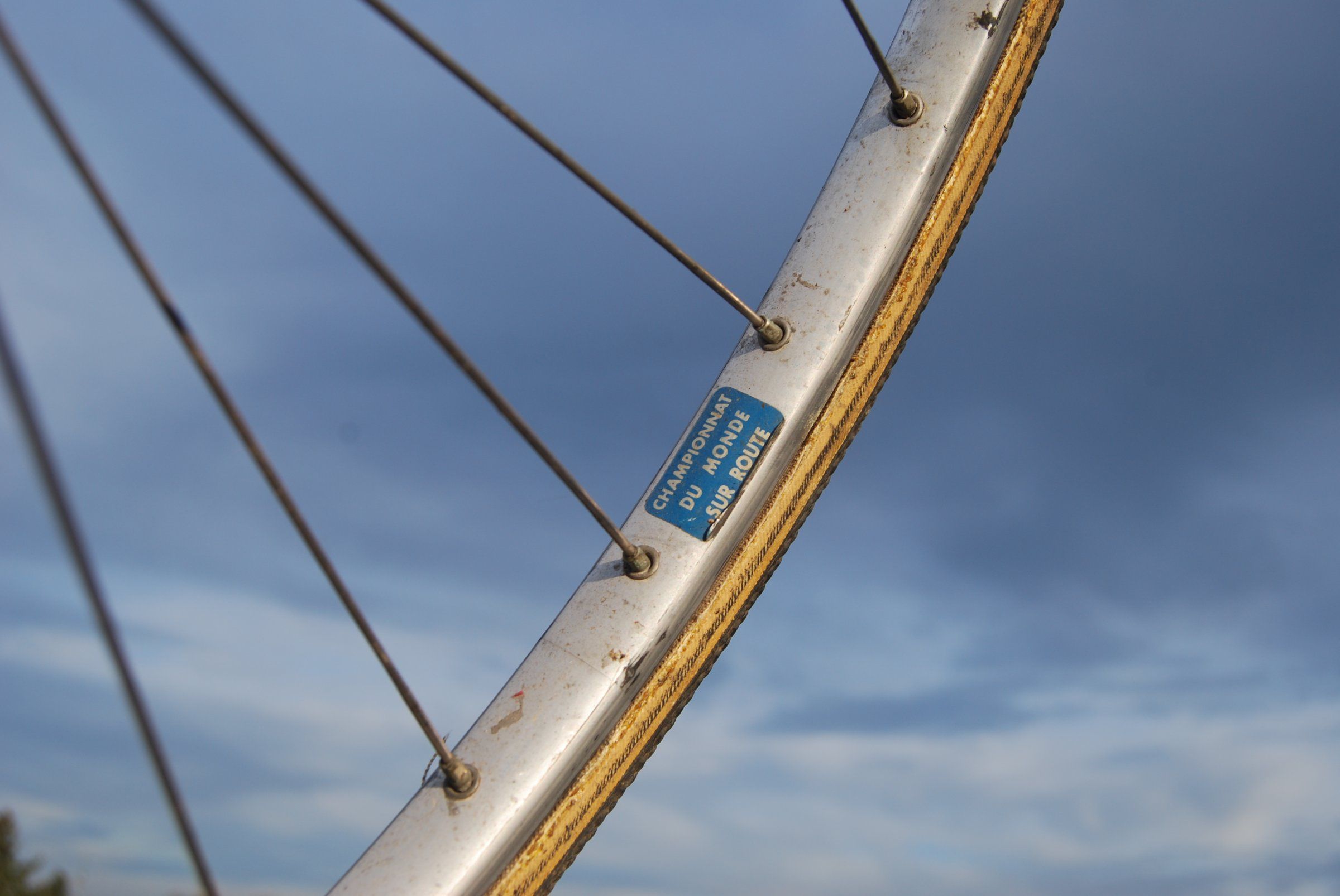 DSC_7886.JPG