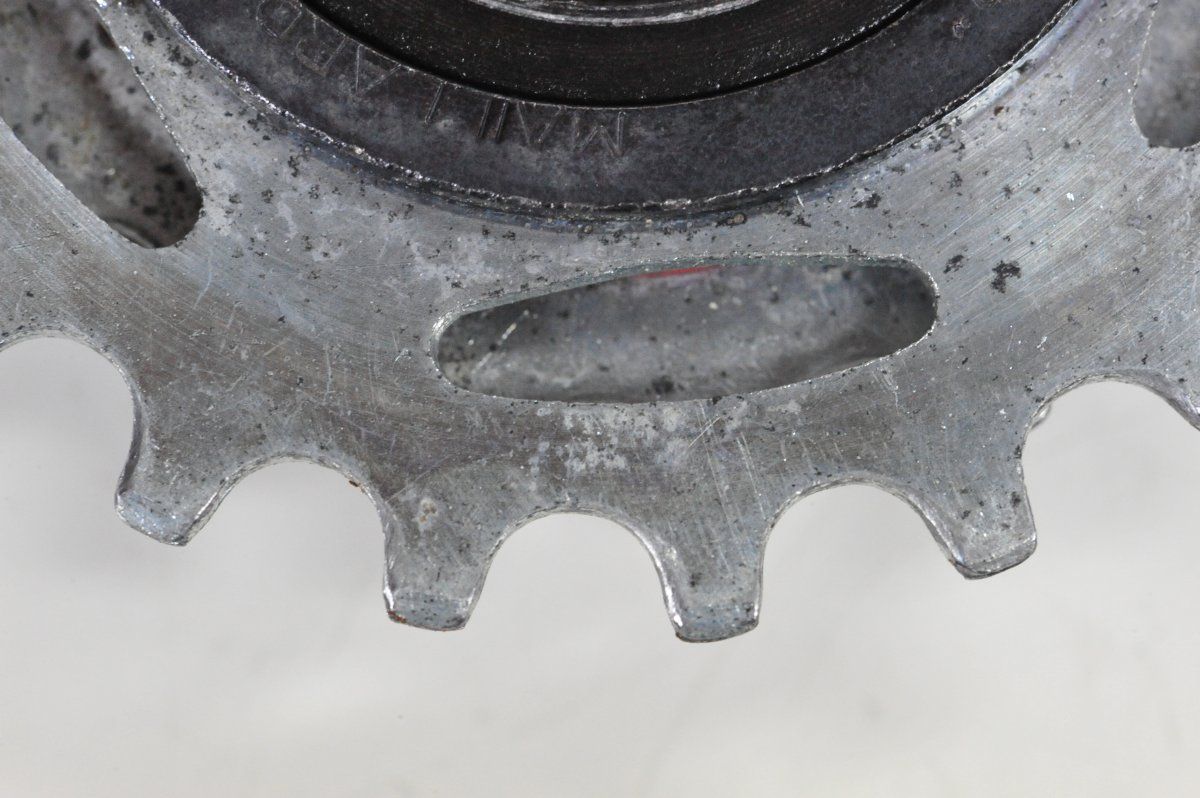 DSC_9203.JPG