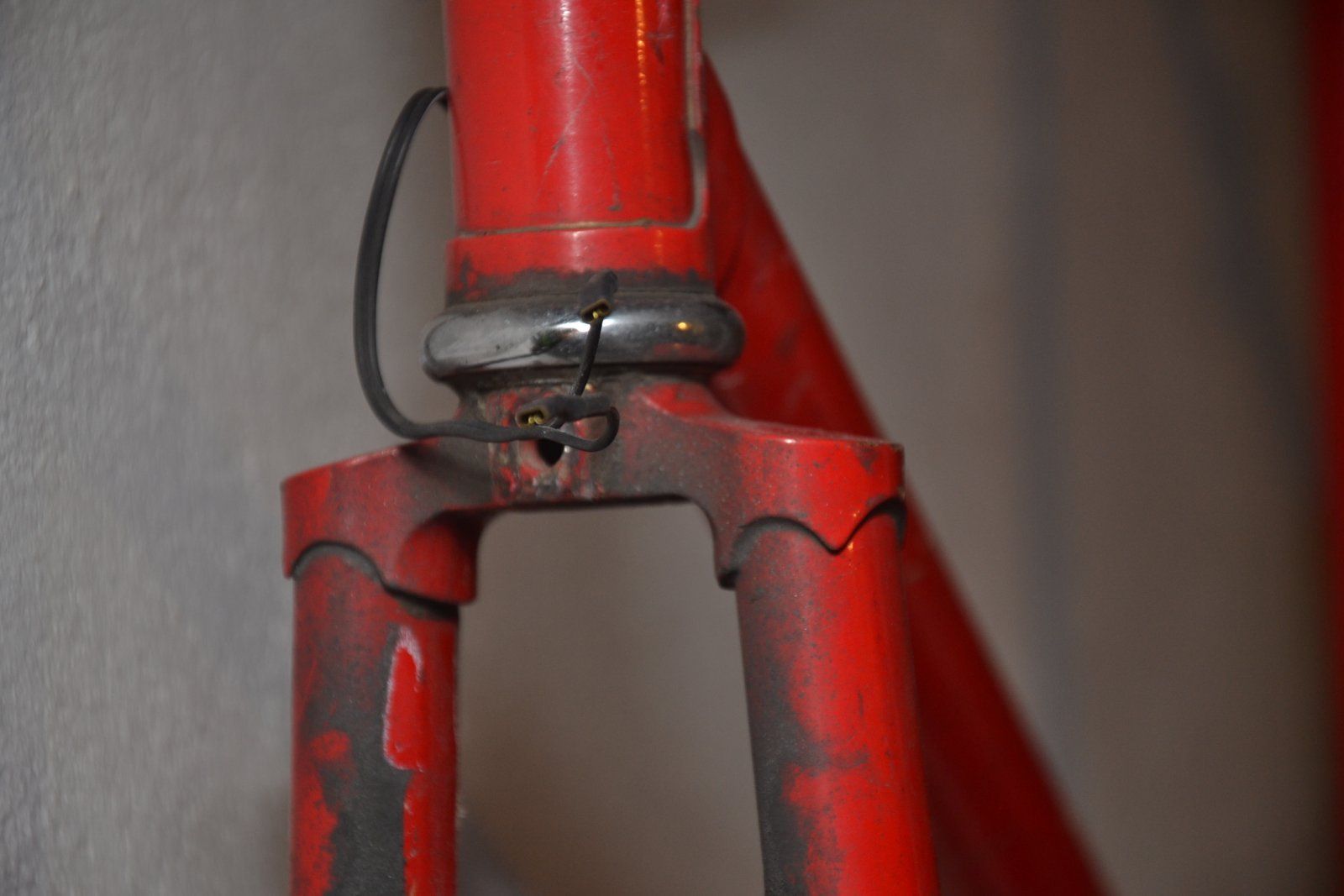 DSC_9593.JPG