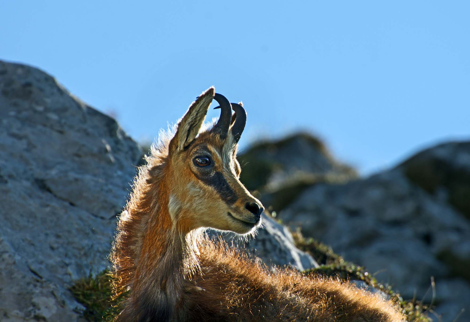 DSC_9706112a.jpg