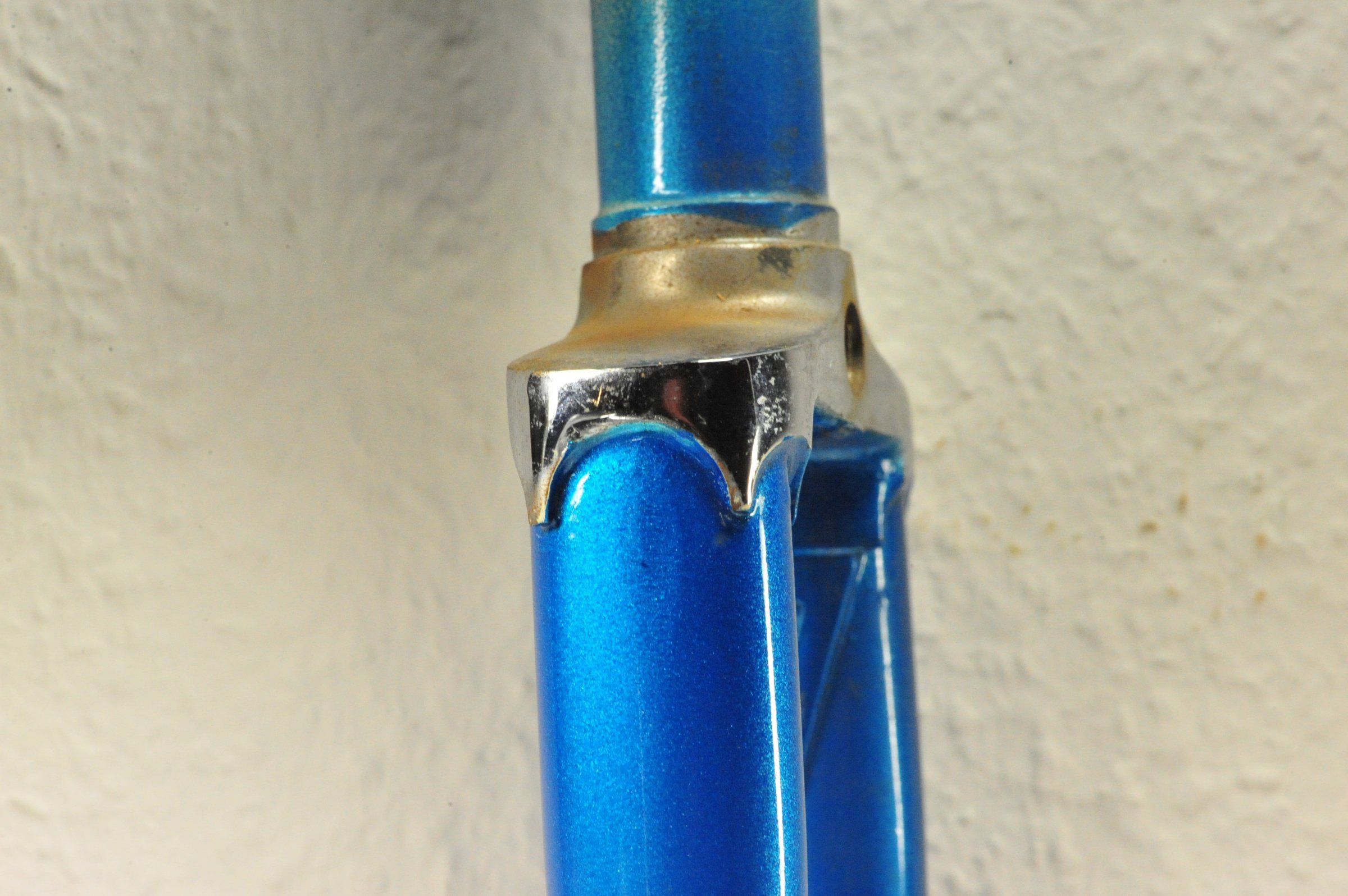 DSC_9730.JPG