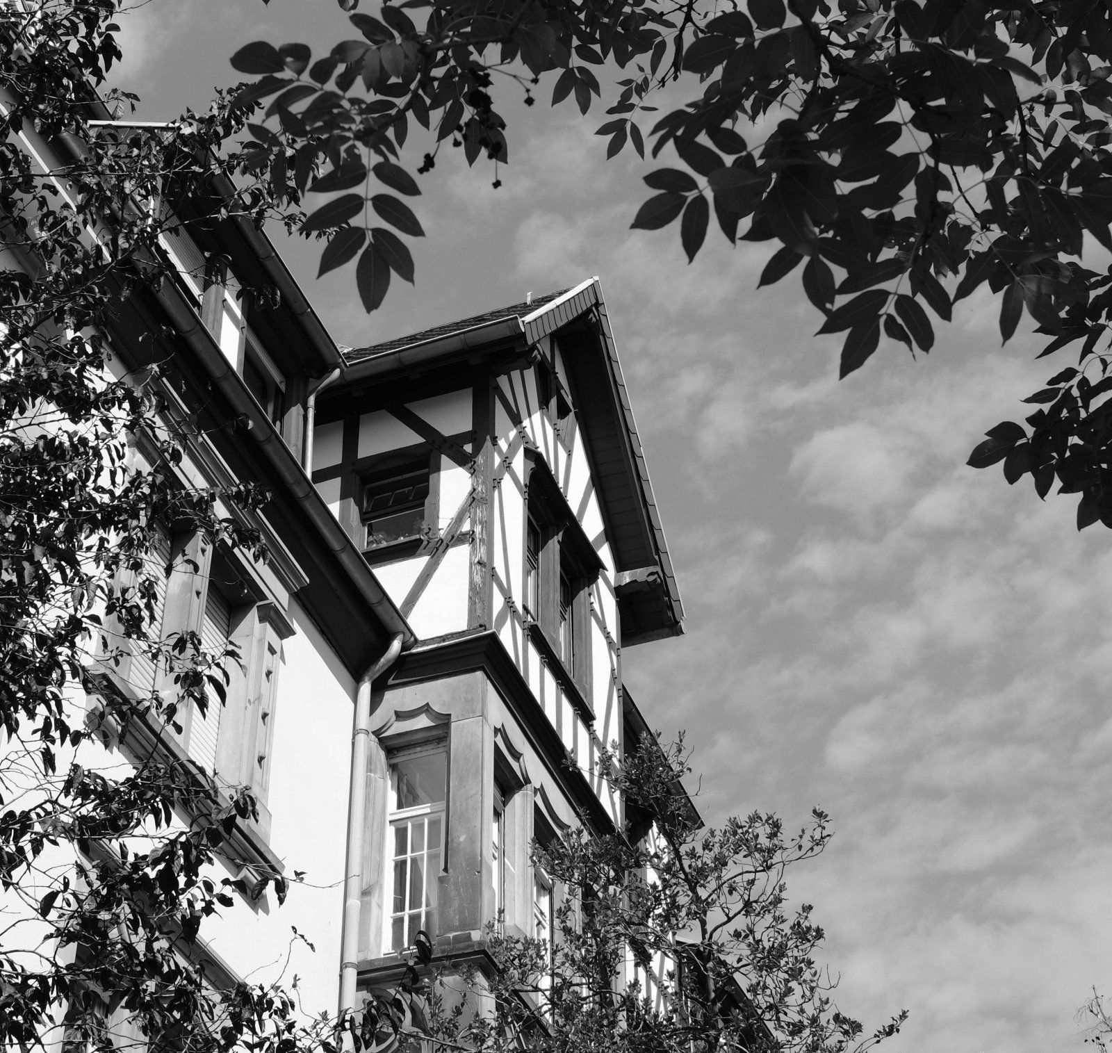 DSCF0003-3.jpg