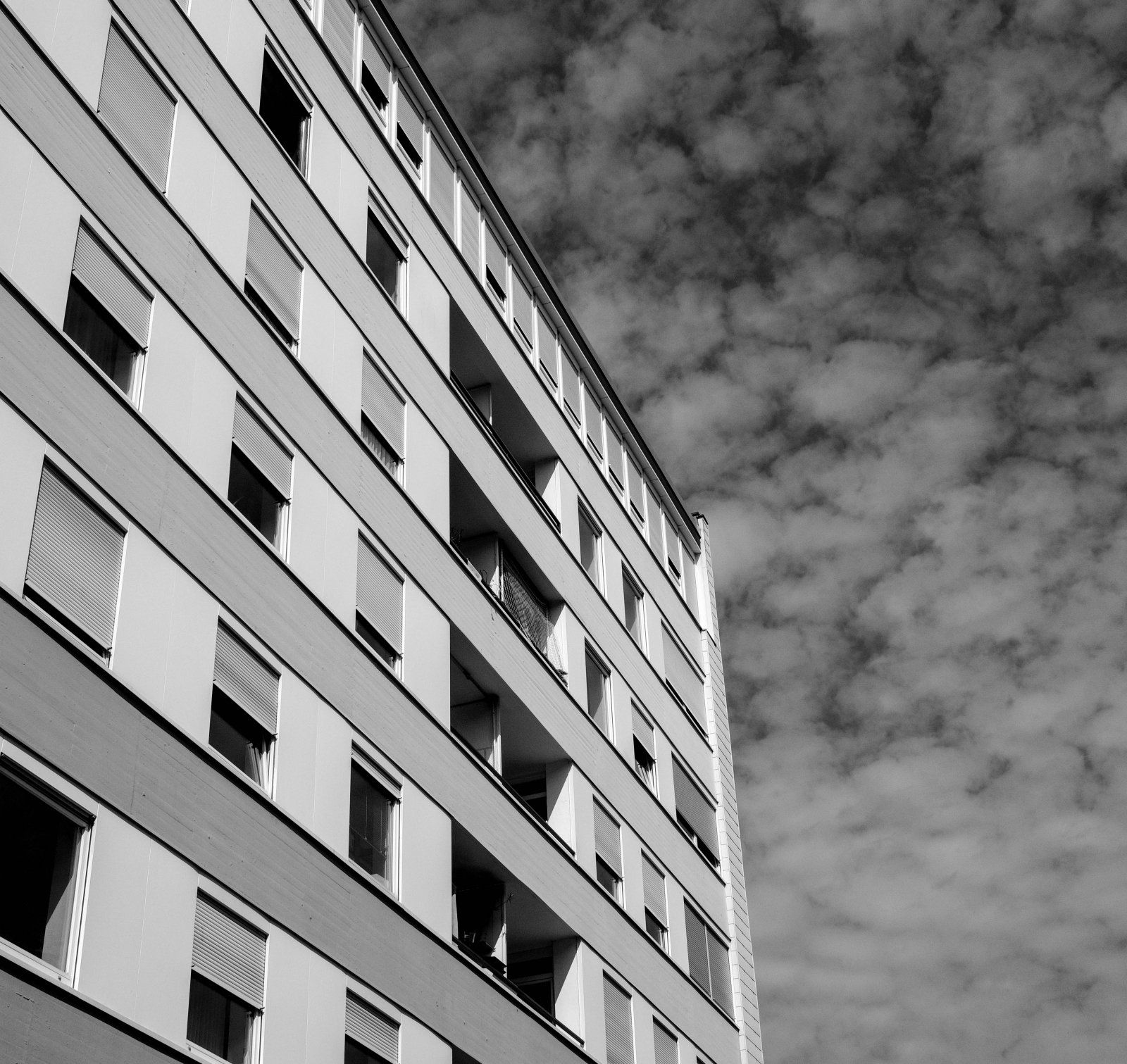 DSCF0013-3.jpg