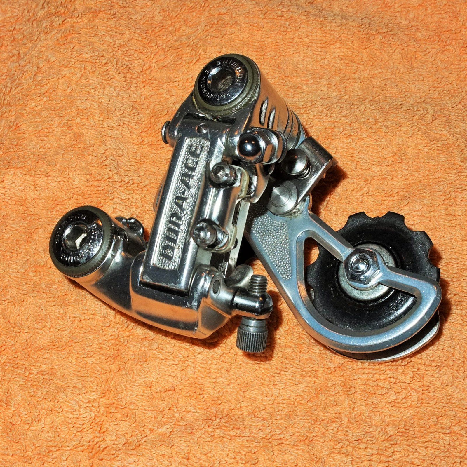 DSCF0019.JPG