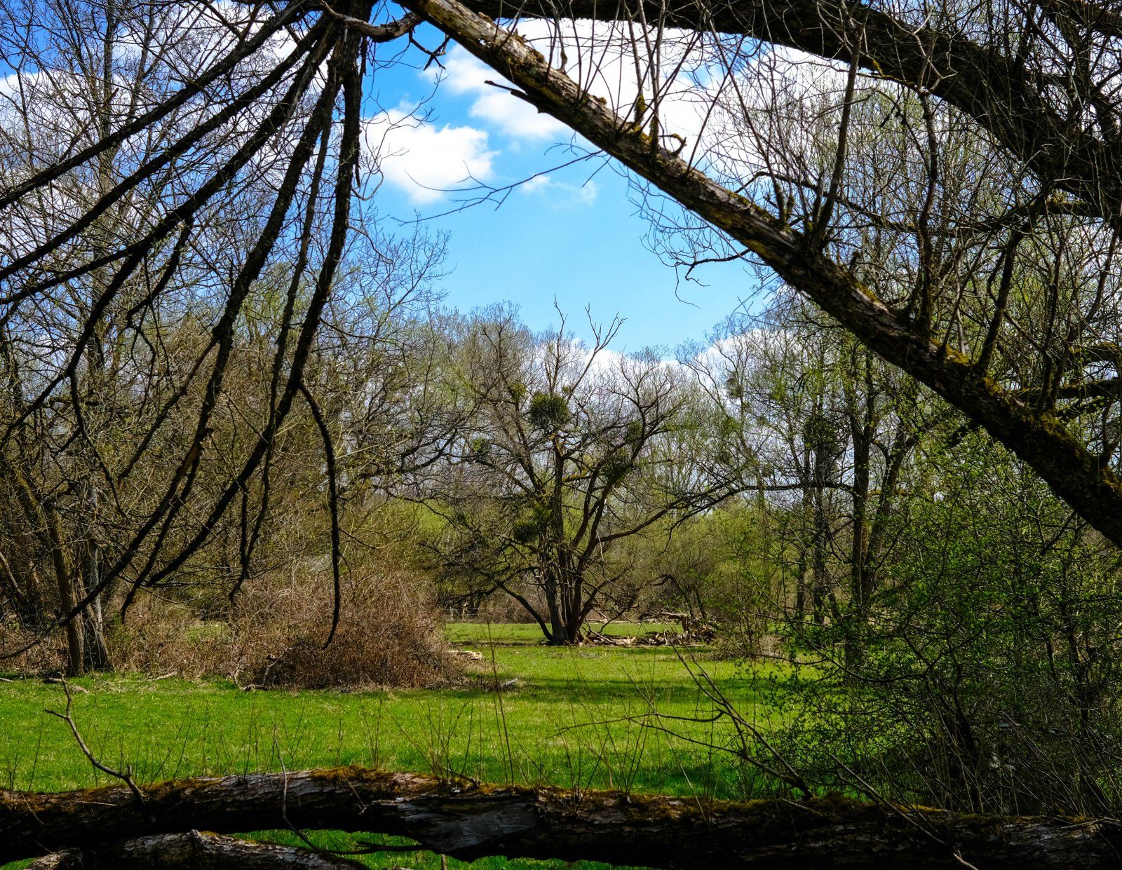 DSCF0051-2.jpg
