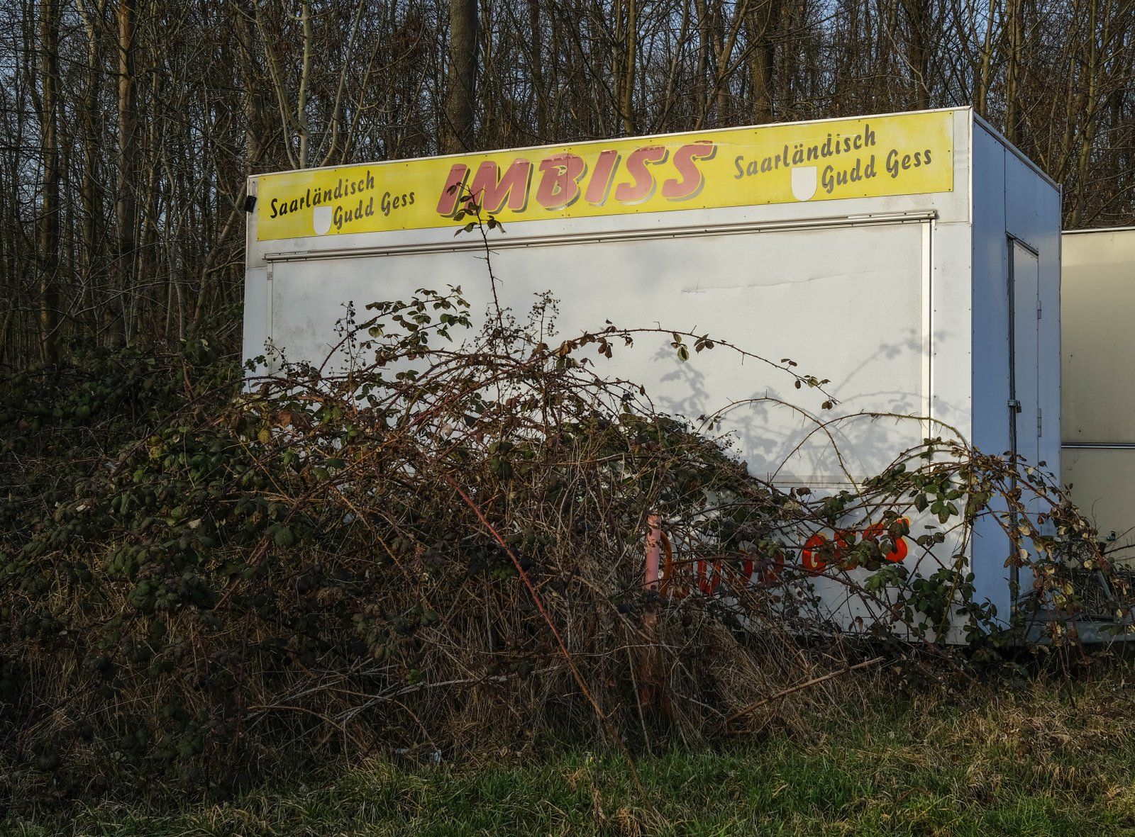 DSCF0065.jpg
