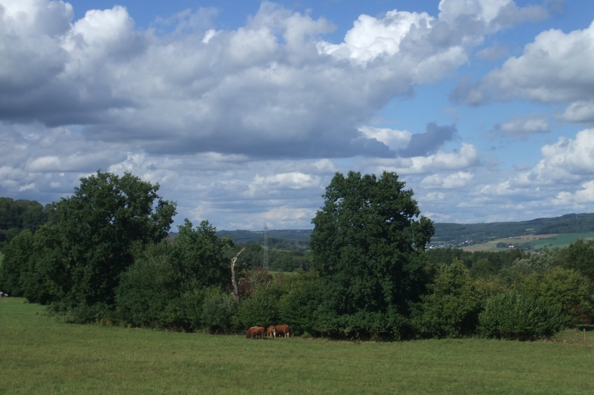 DSCF0068.JPG