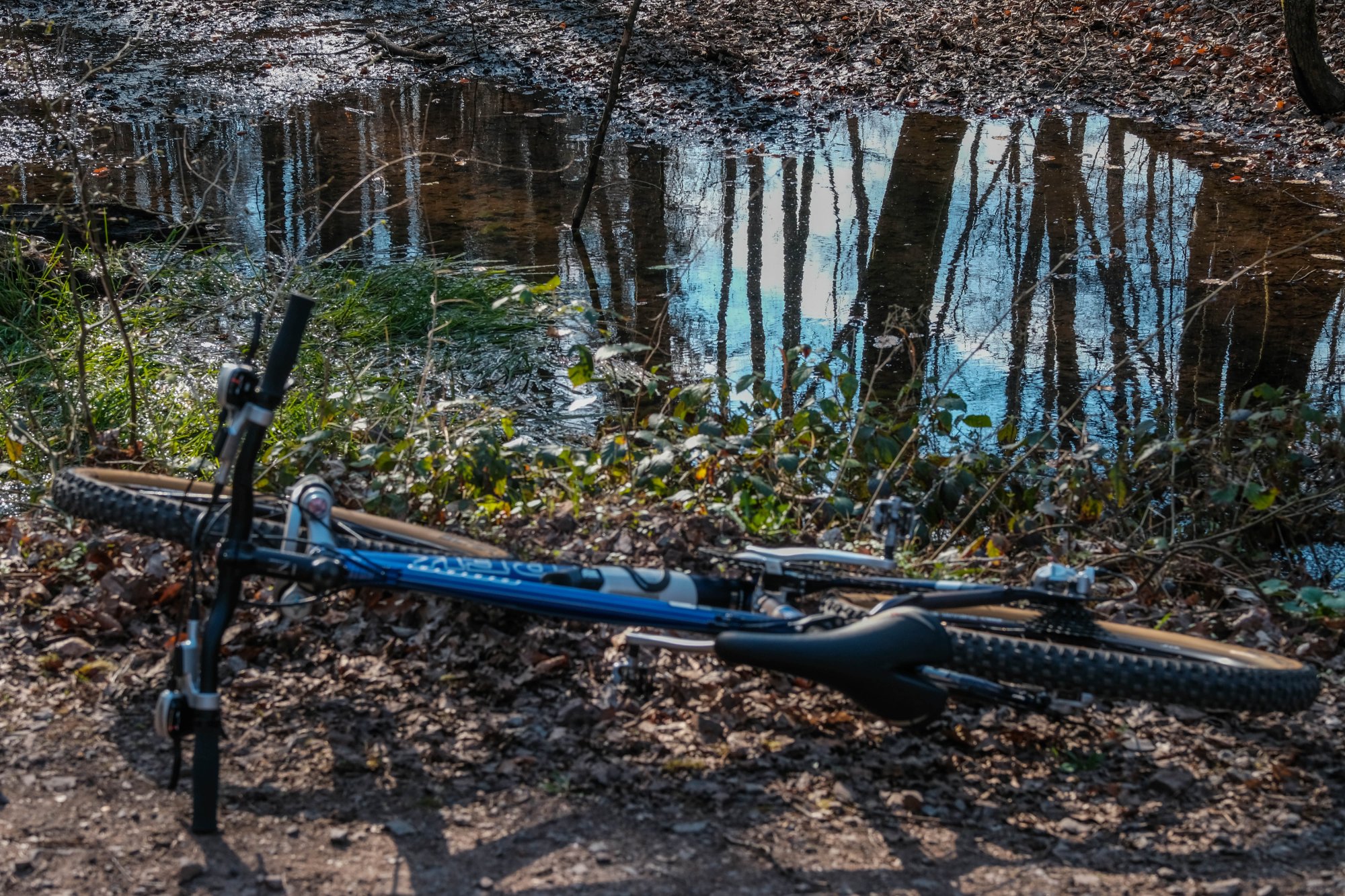 DSCF0073.jpg