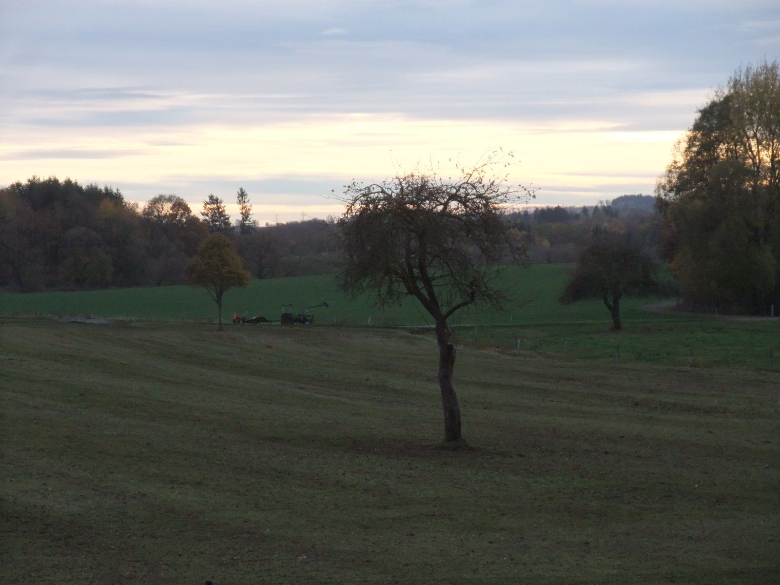 DSCF0077.JPG