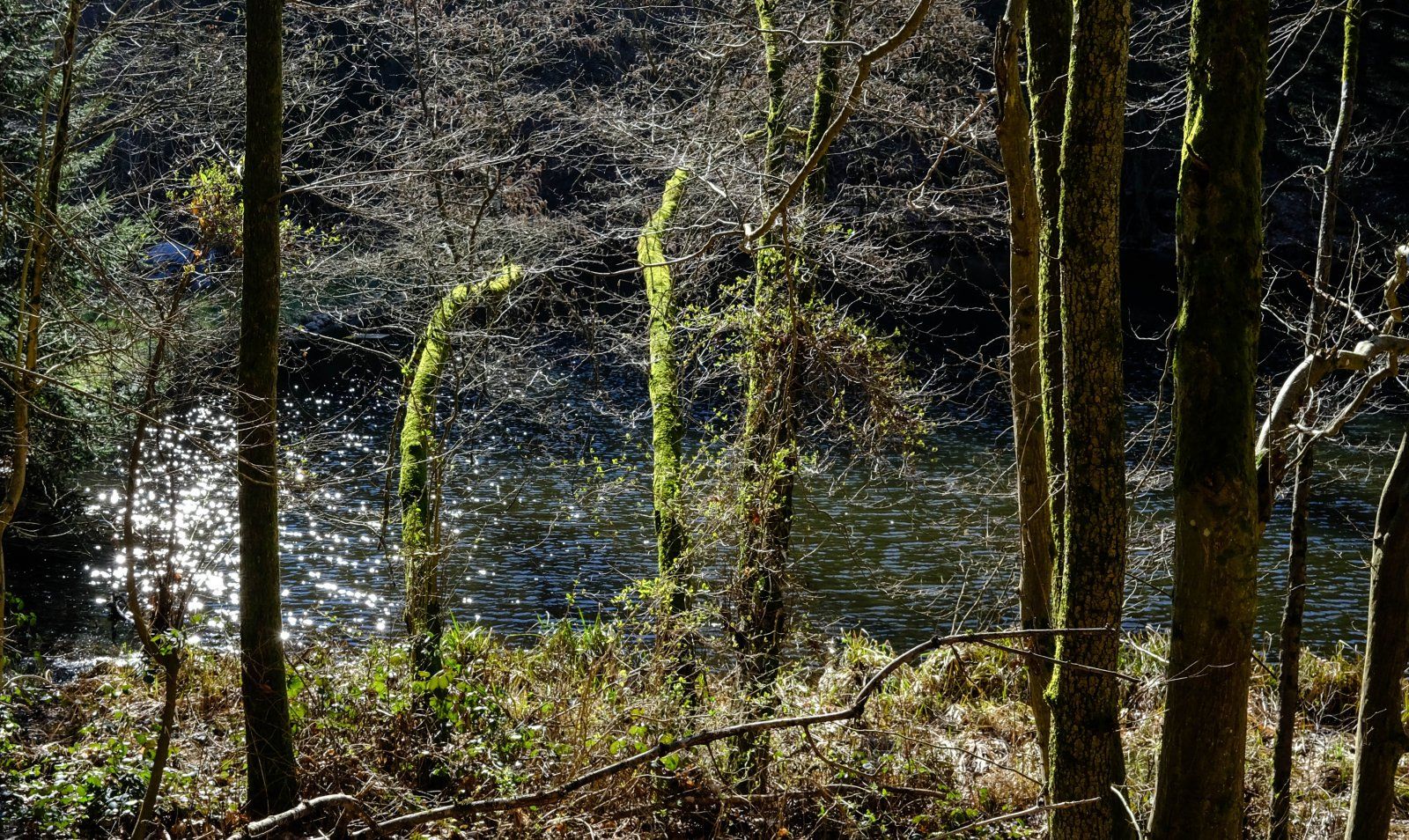 DSCF0125.jpg