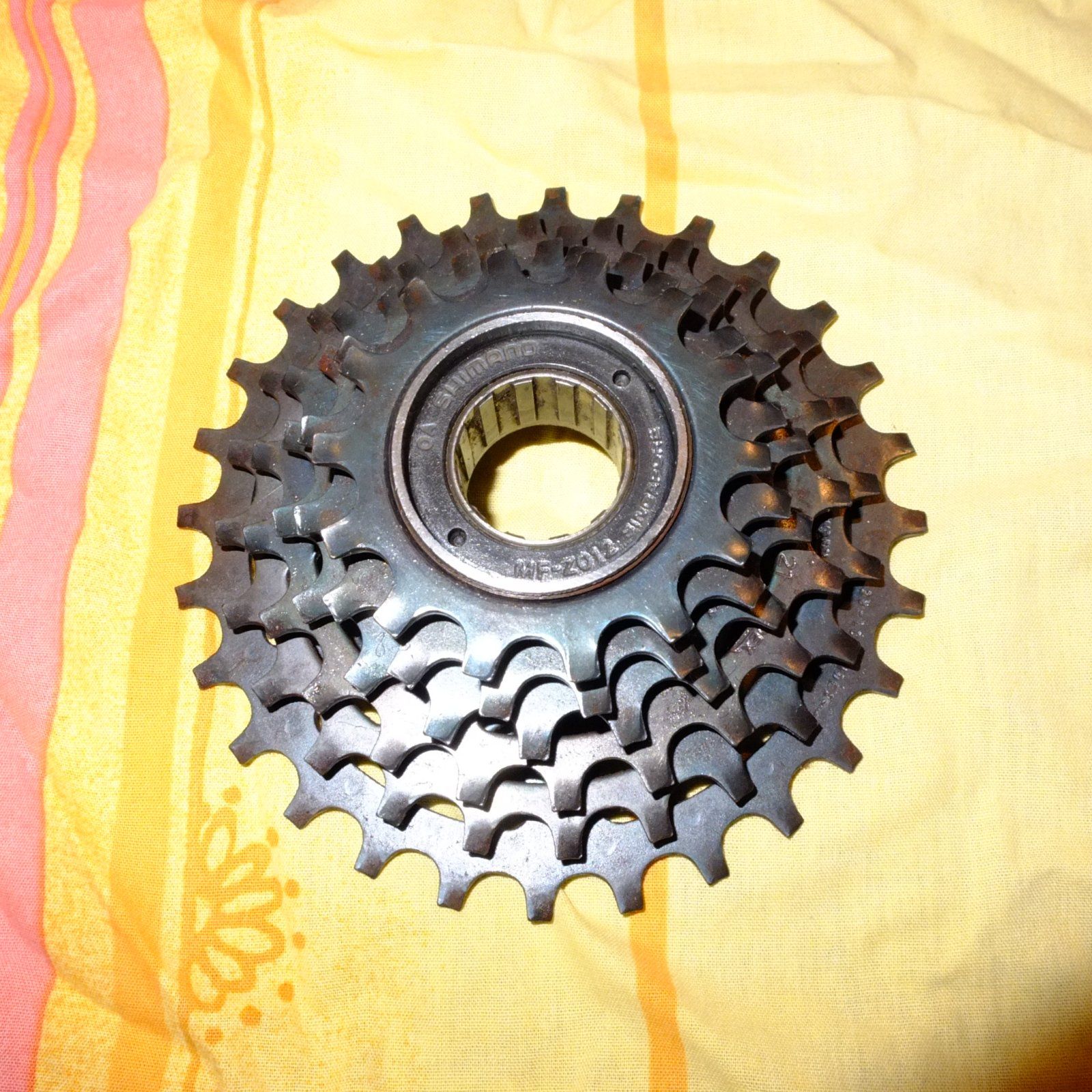 DSCF0145.JPG