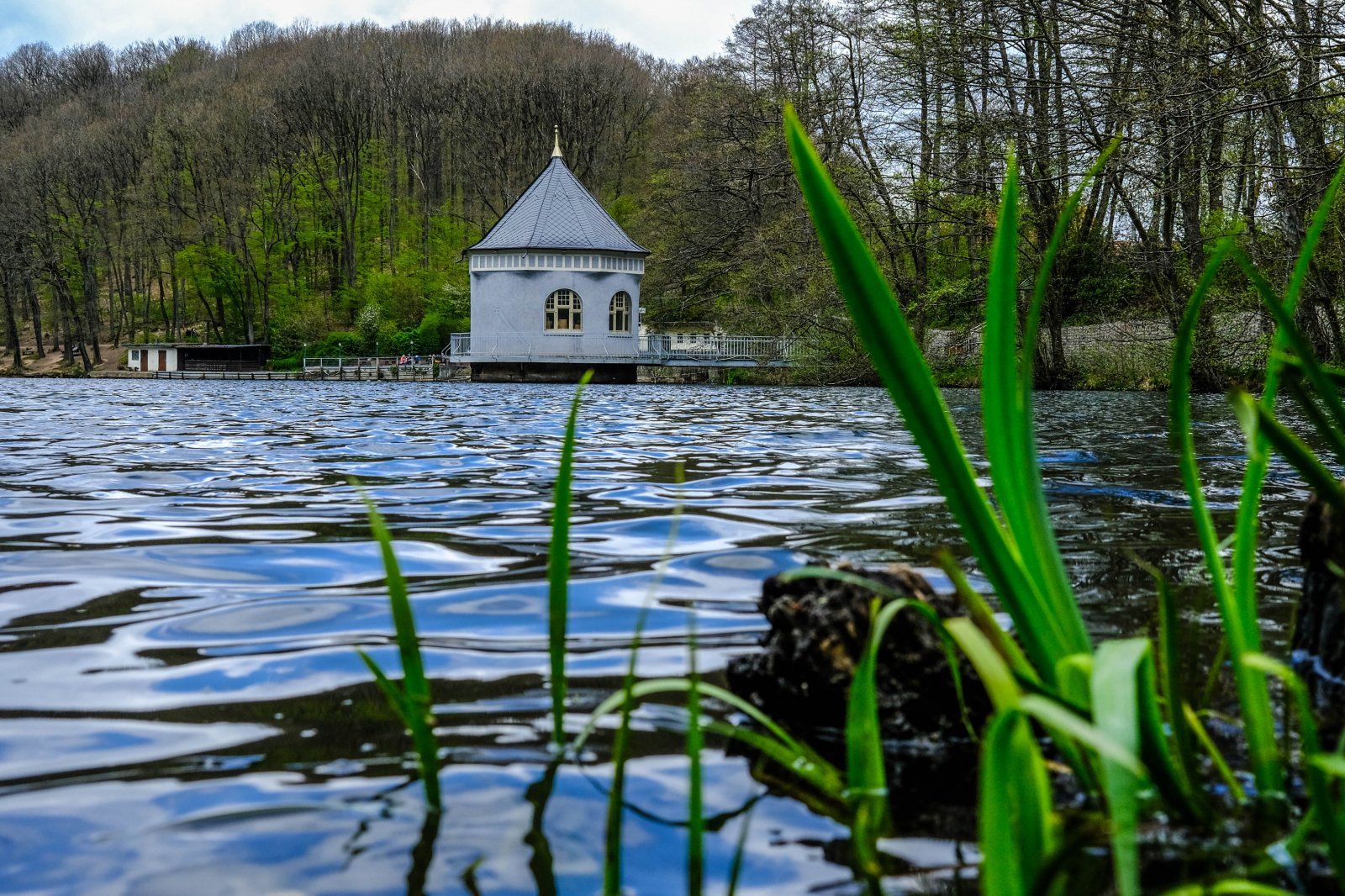 DSCF0165-5.jpg