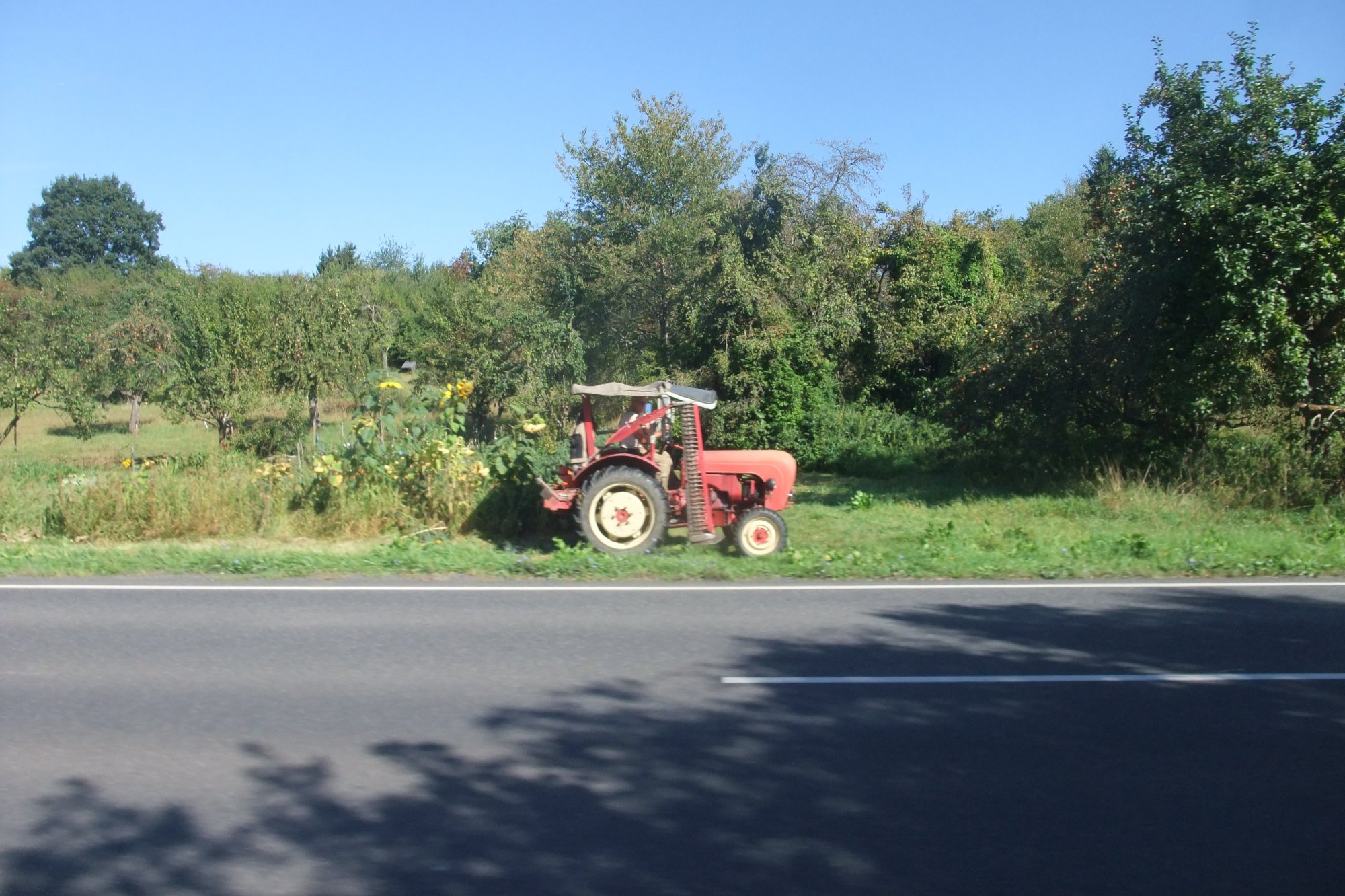 DSCF0283.JPG