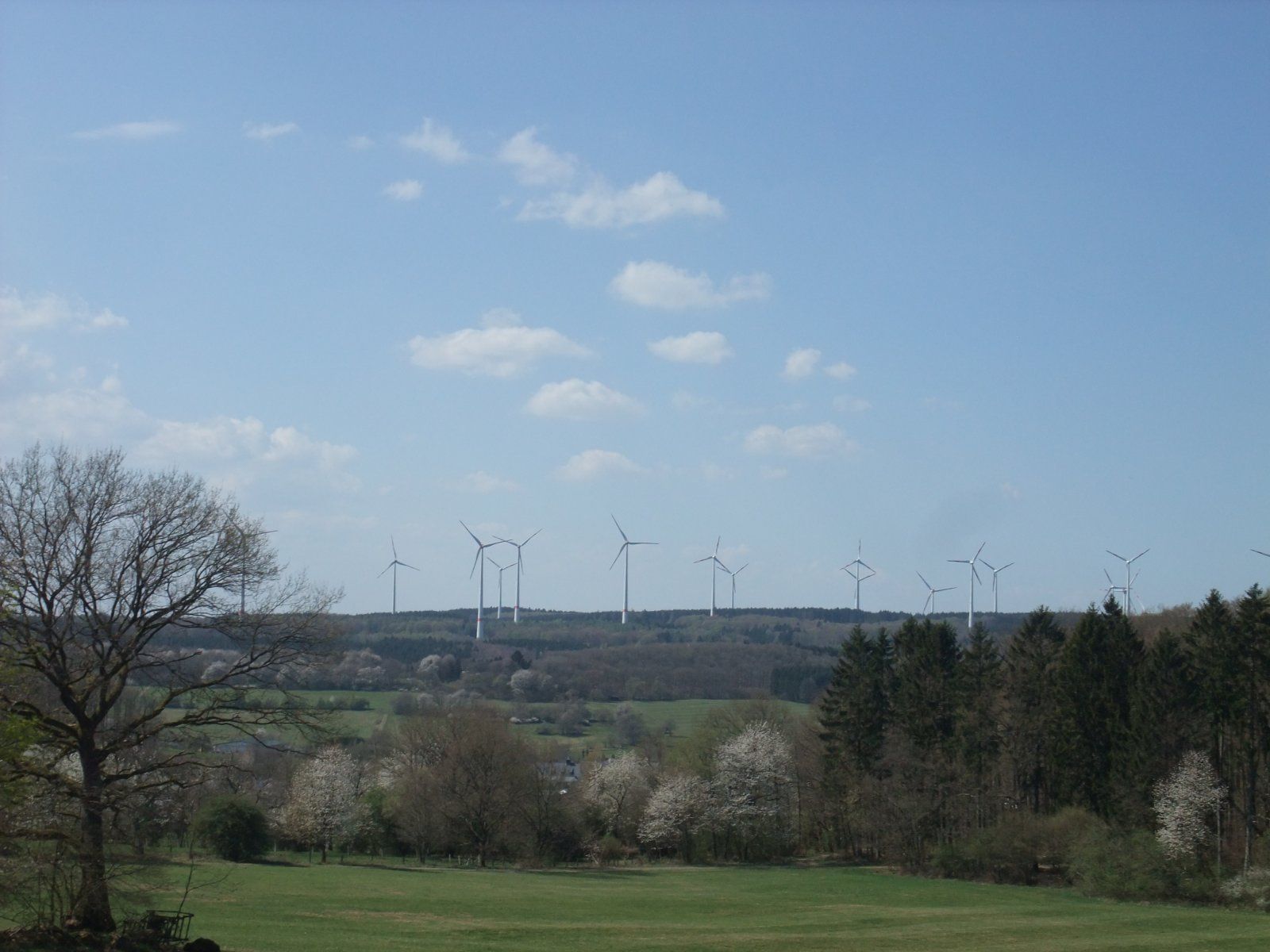 DSCF0289.JPG