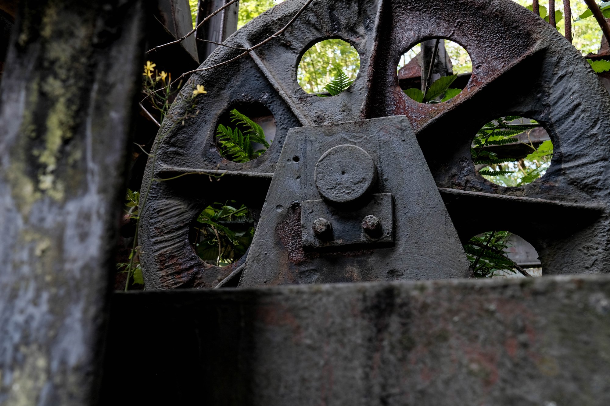 DSCF0308.jpg