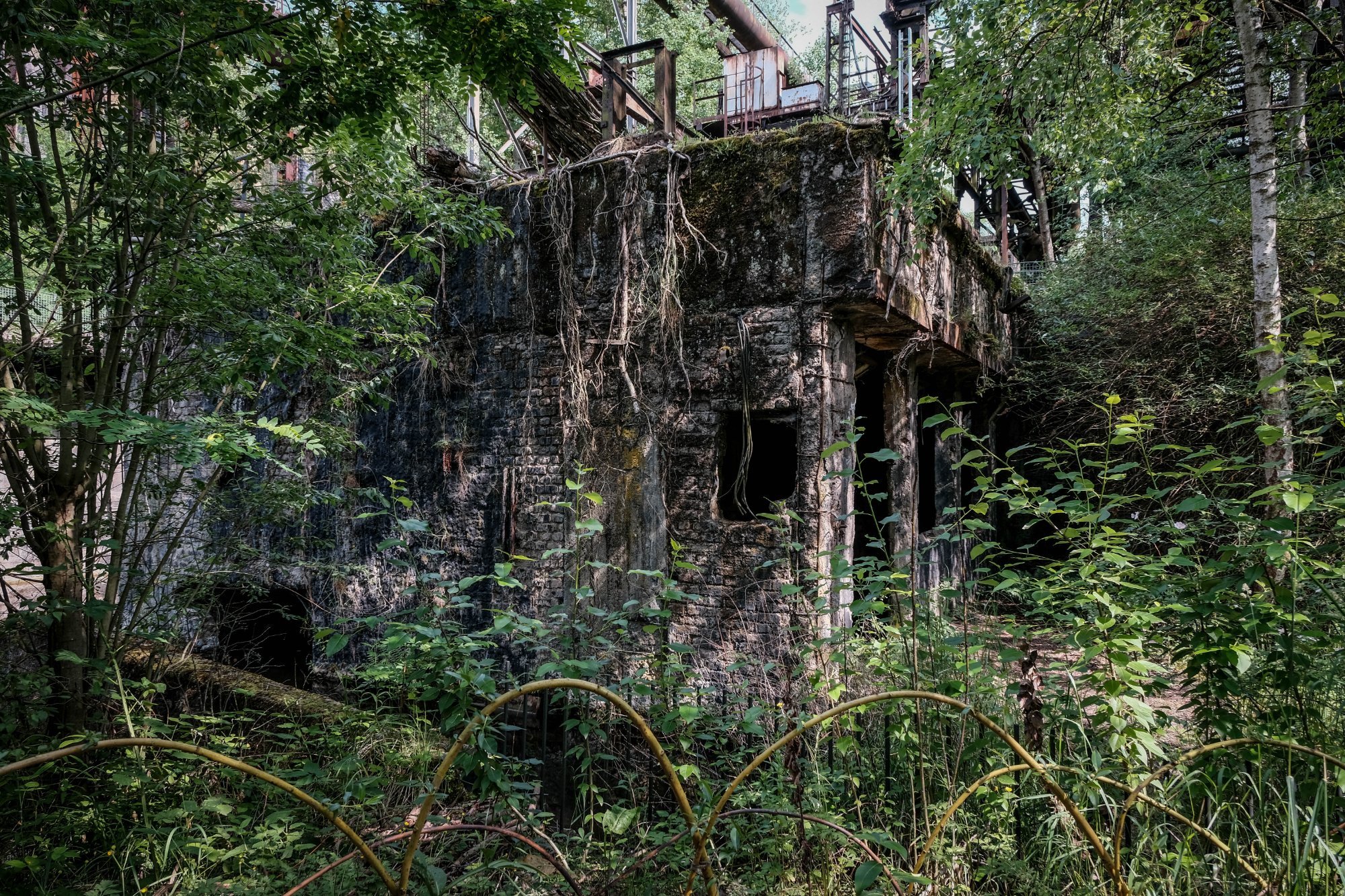DSCF0318.jpg