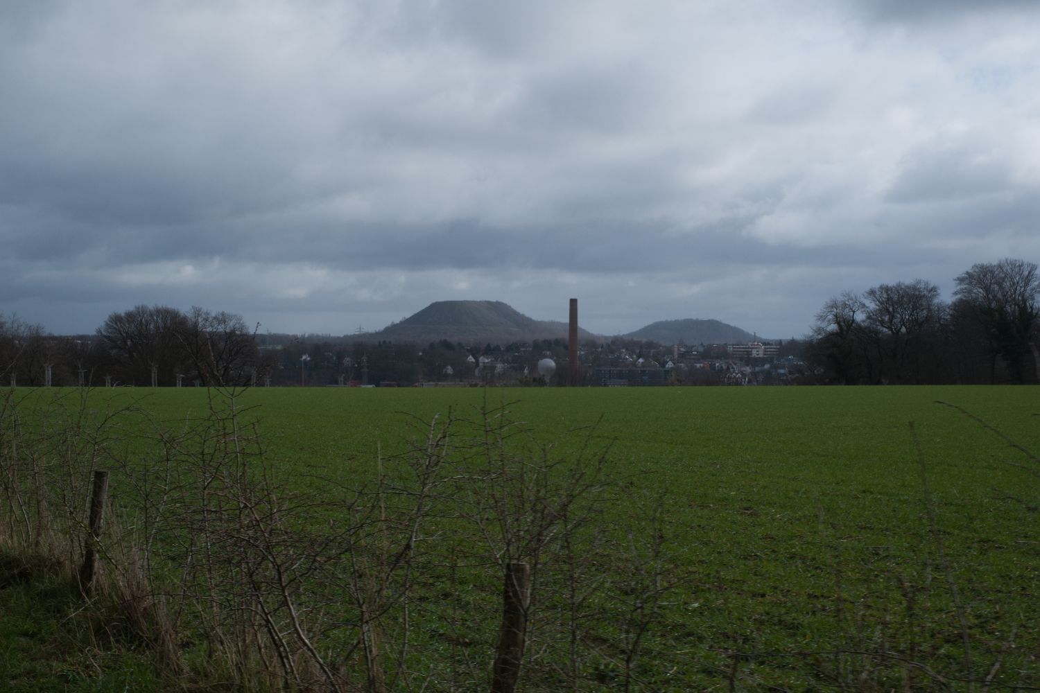 DSCF0395.jpg