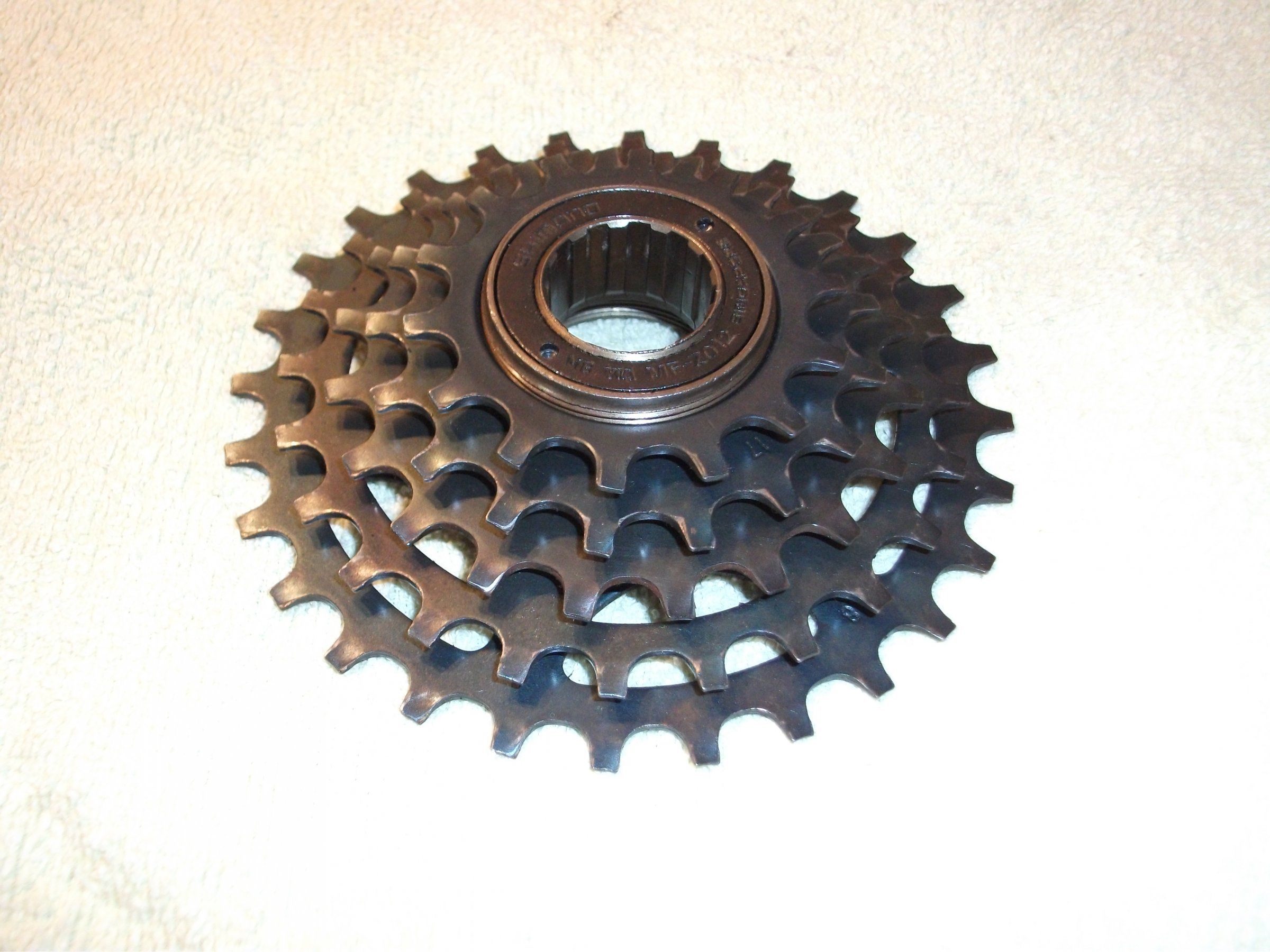 DSCF0455.JPG