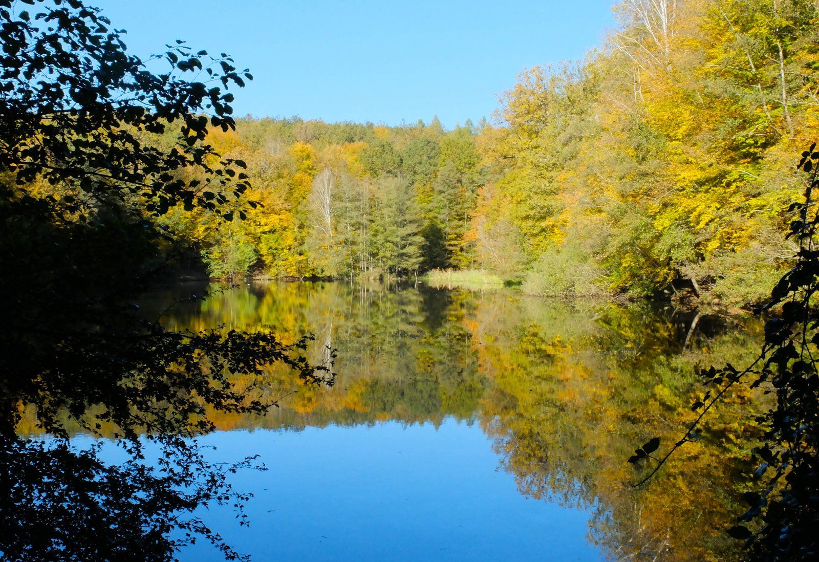 DSCF0546-3.jpg