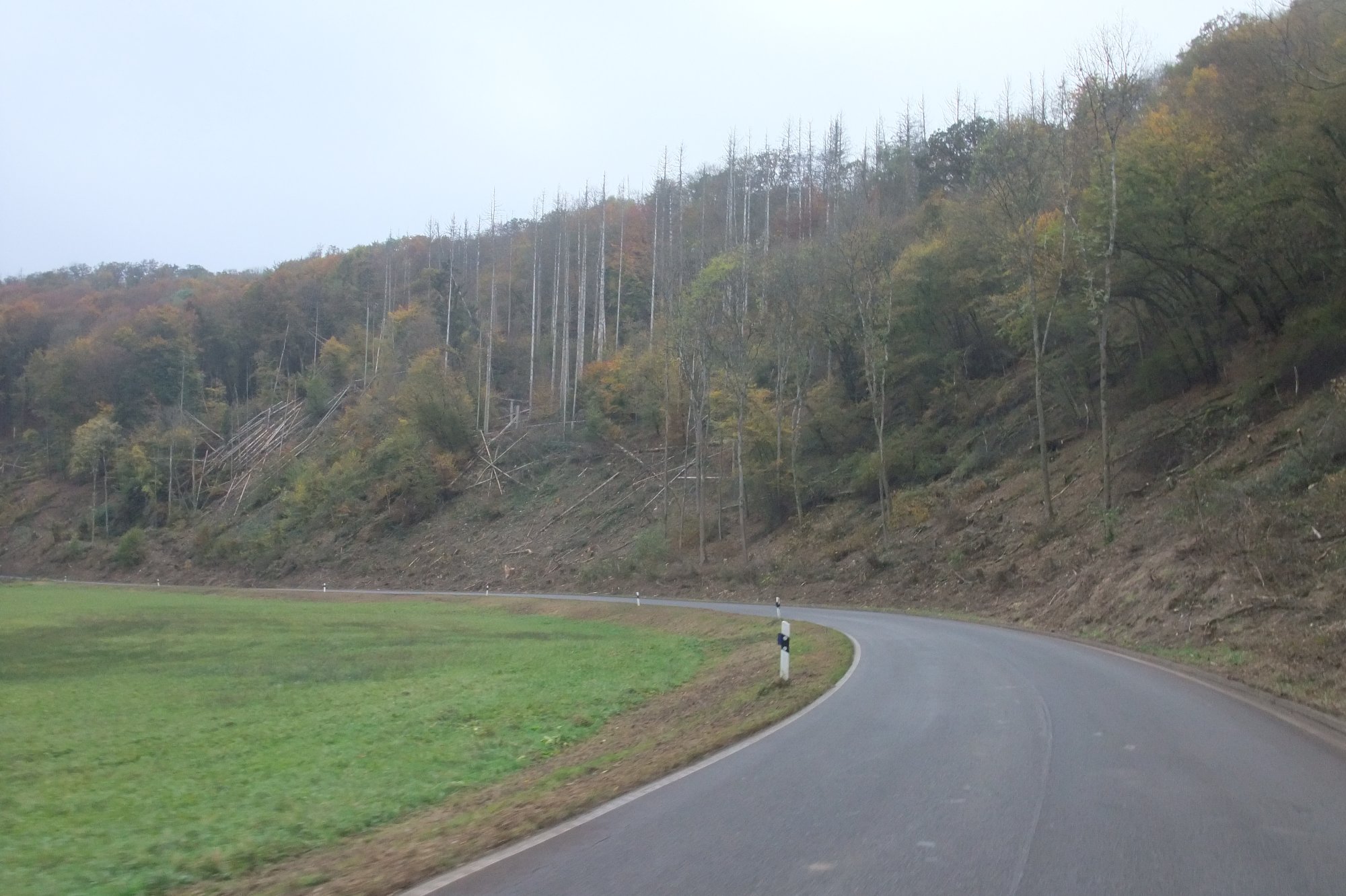 DSCF0546.JPG
