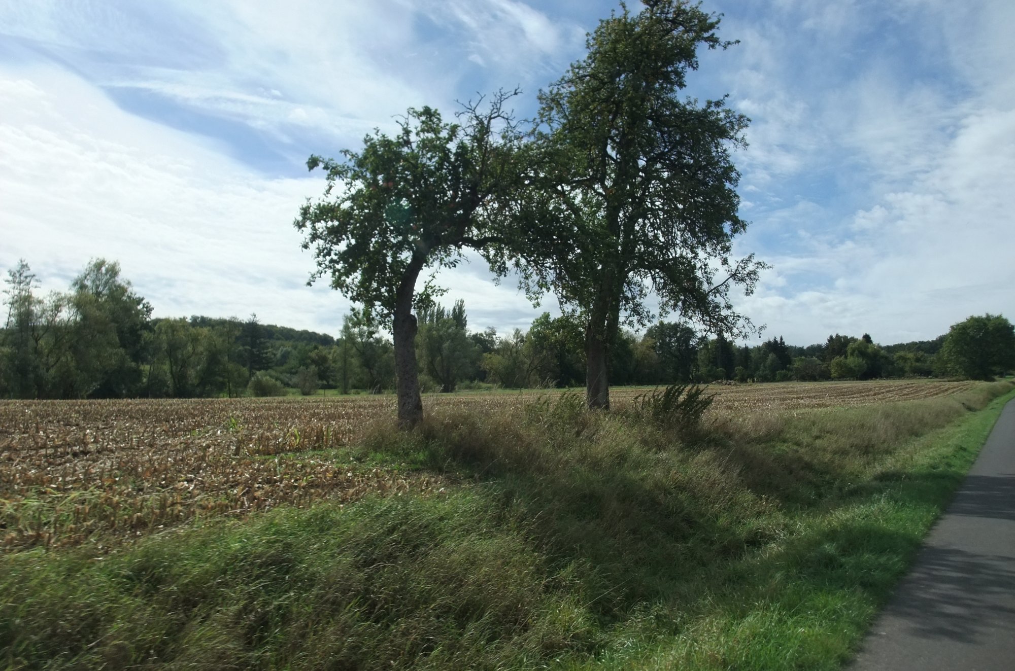 DSCF0716.JPG