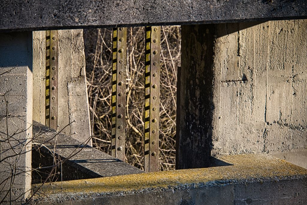 DSCF0743-lu.jpg