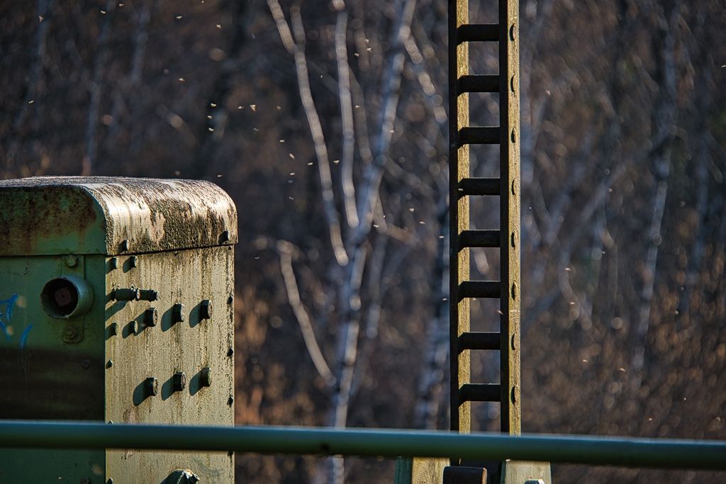 DSCF0753-lu.jpg