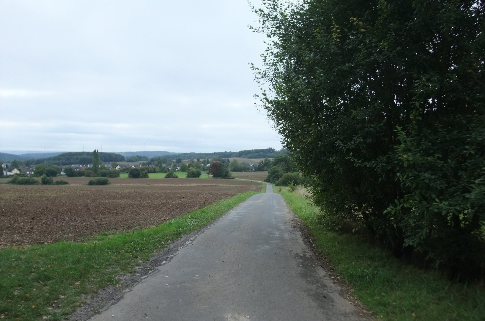 DSCF0784.JPG