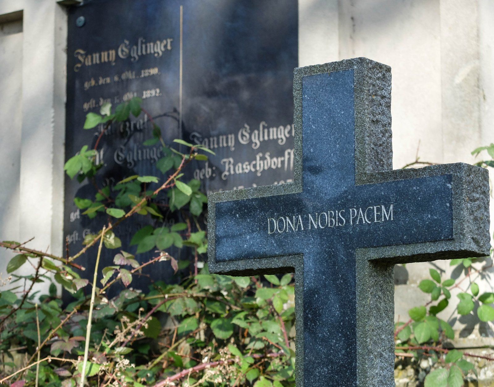 DSCF0791.jpg
