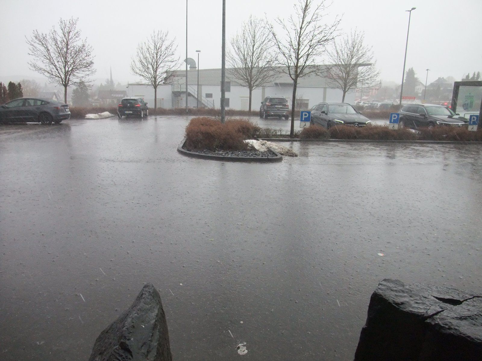 DSCF0853.JPG