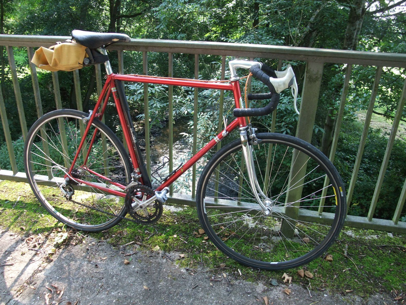 DSCF0969.JPG
